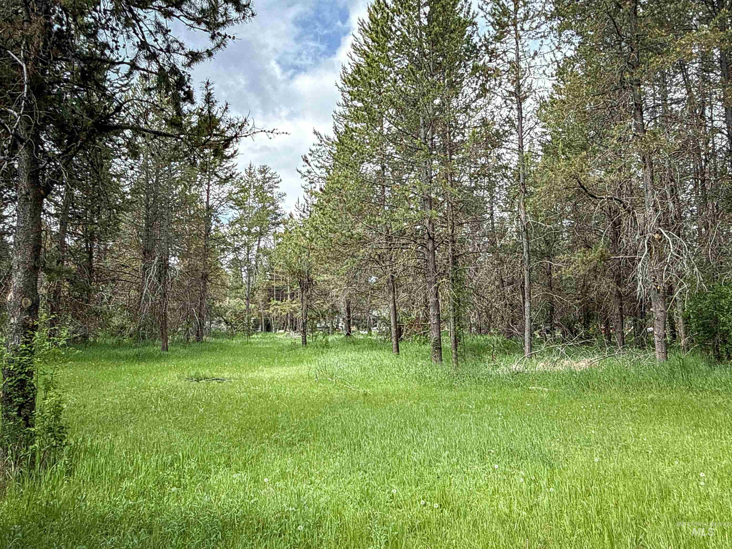 118 Westwind Ln Property Photo 3