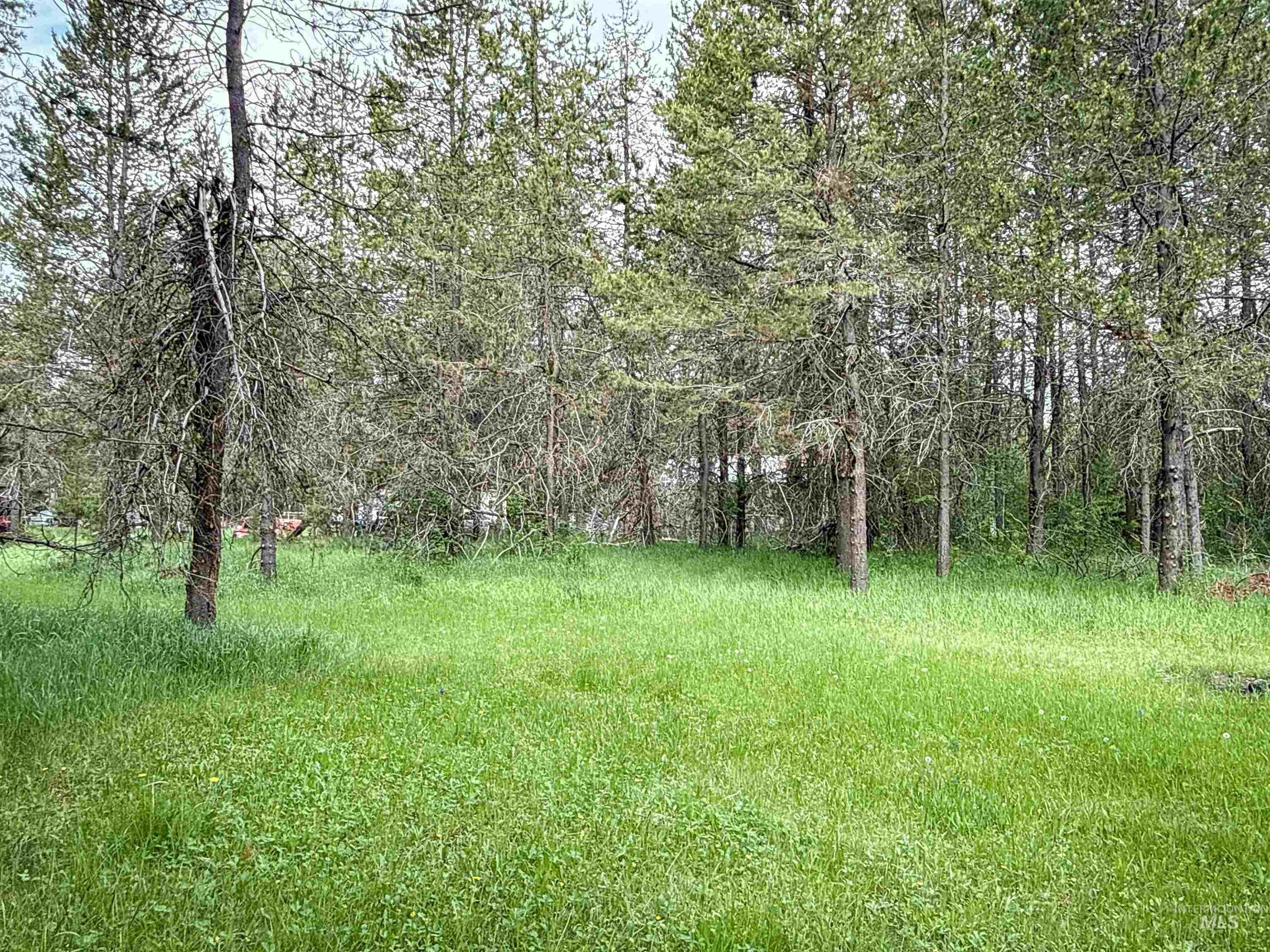 118 Westwind Ln Property Photo 4