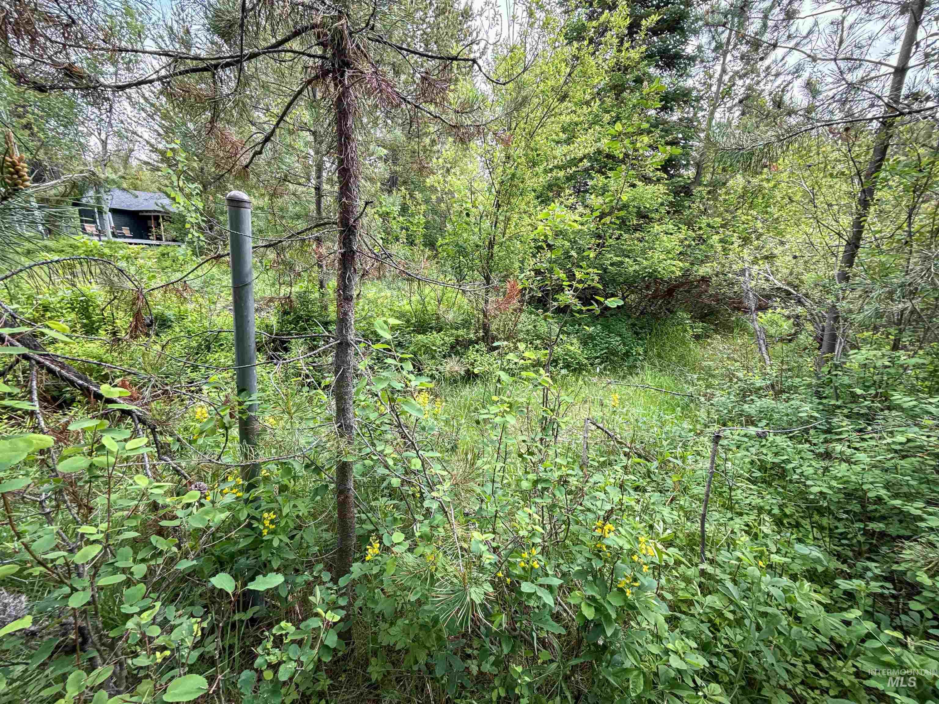 118 Westwind Ln Property Photo 9