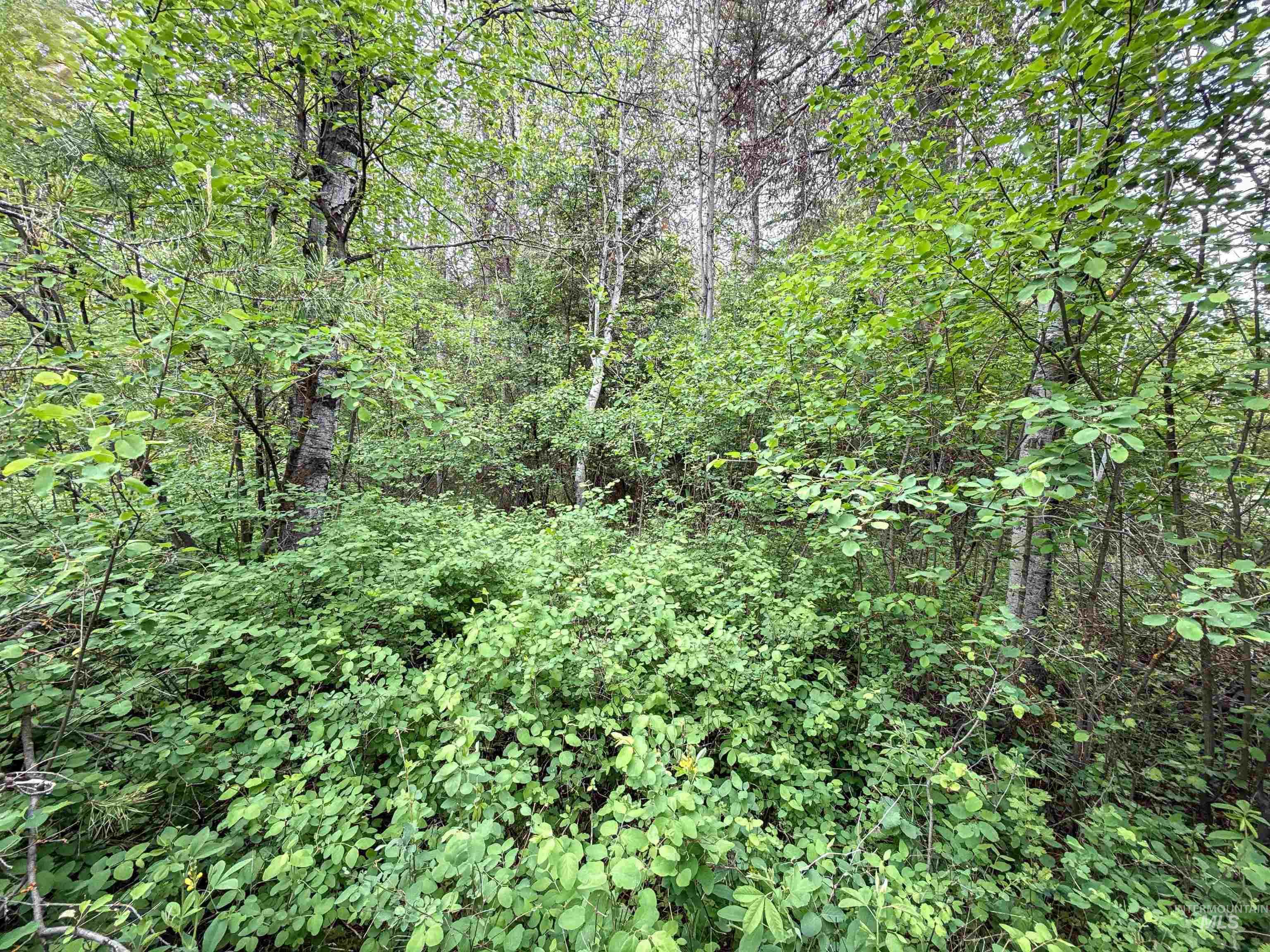 118 Westwind Ln Property Photo 10