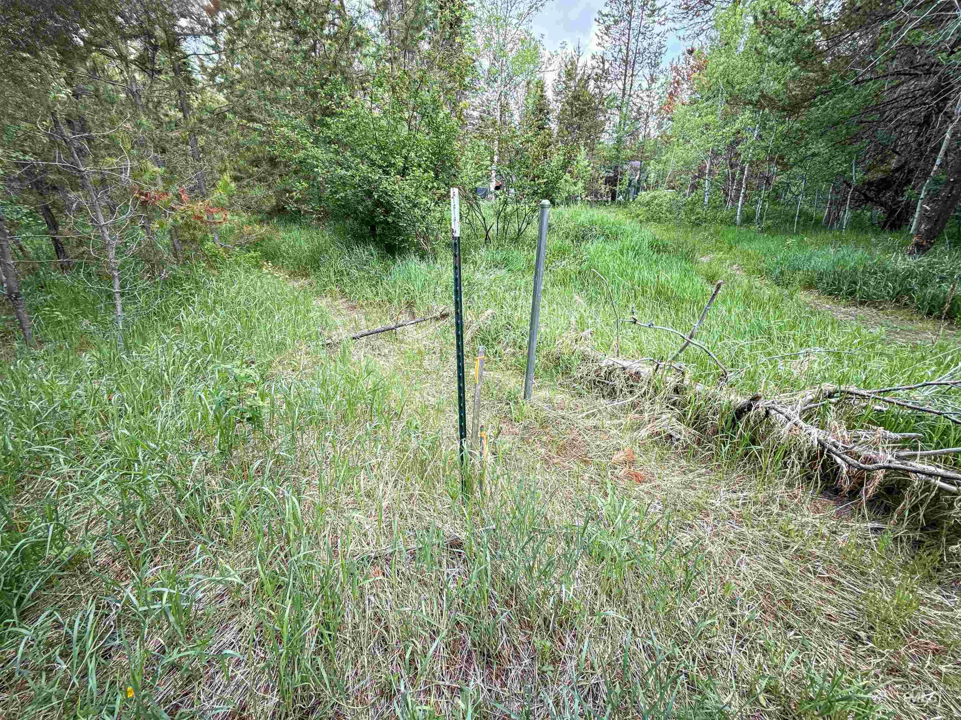 118 Westwind Ln Property Photo 12
