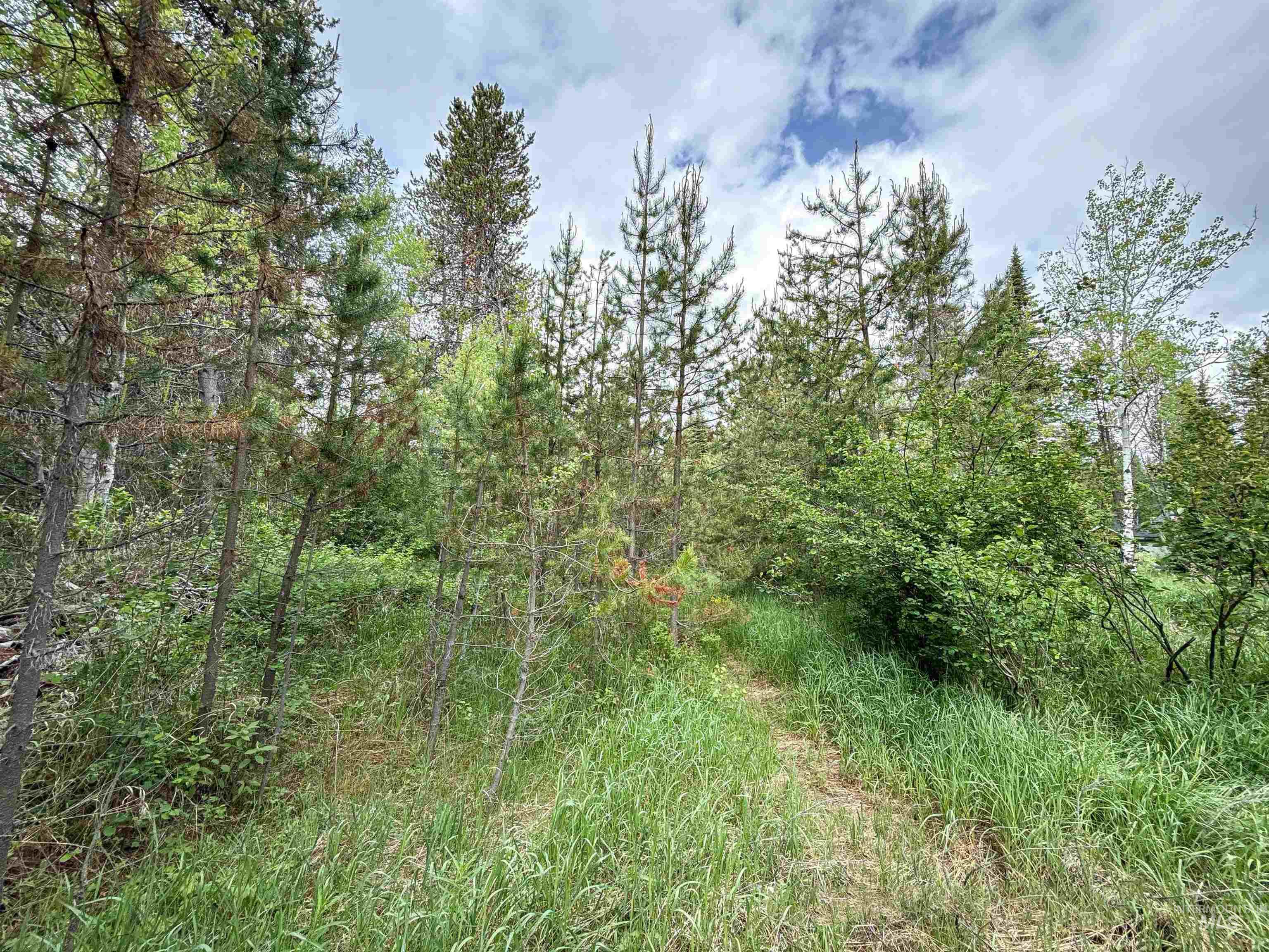 118 Westwind Ln Property Photo 13