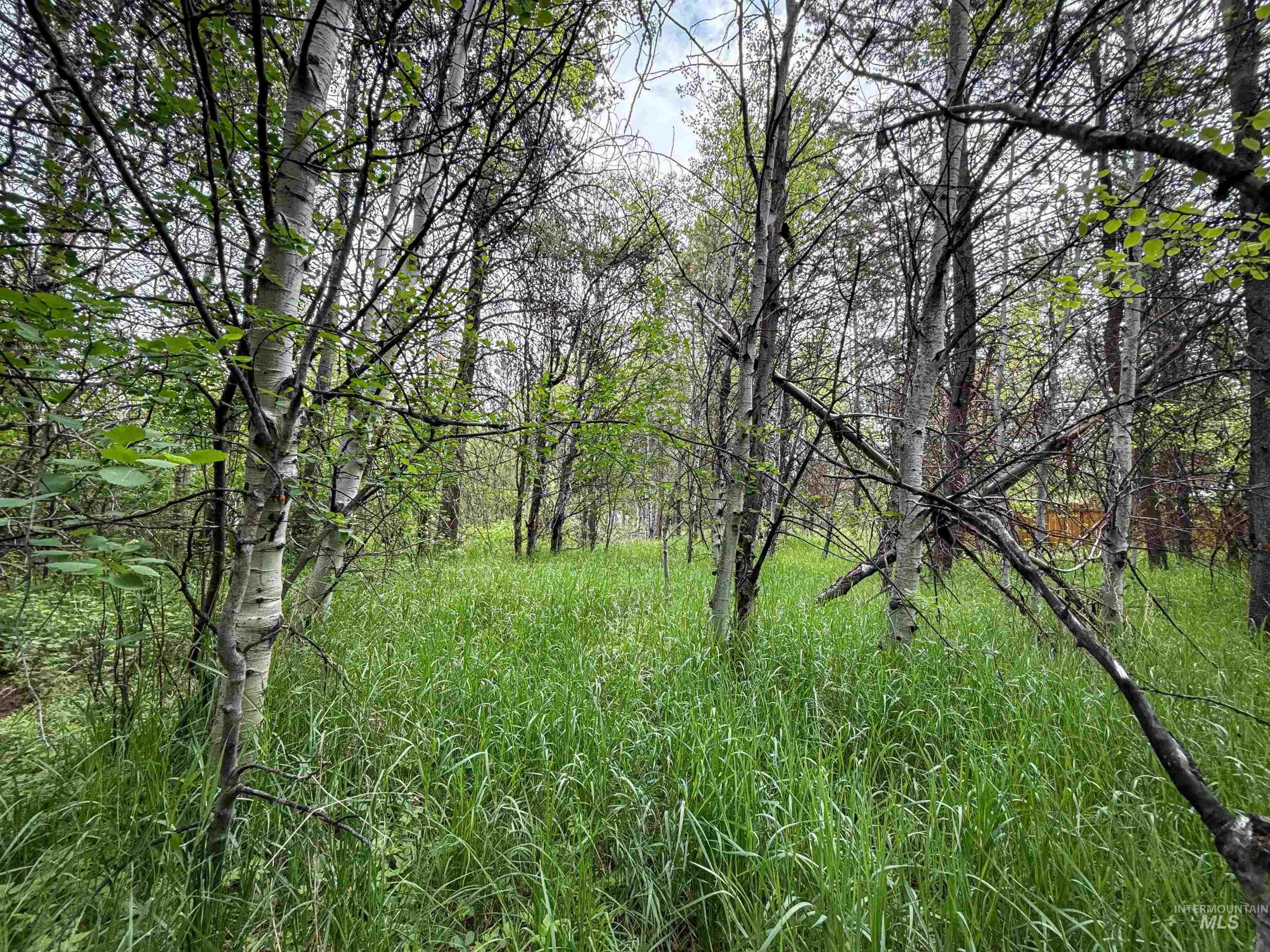 118 Westwind Ln Property Photo 15