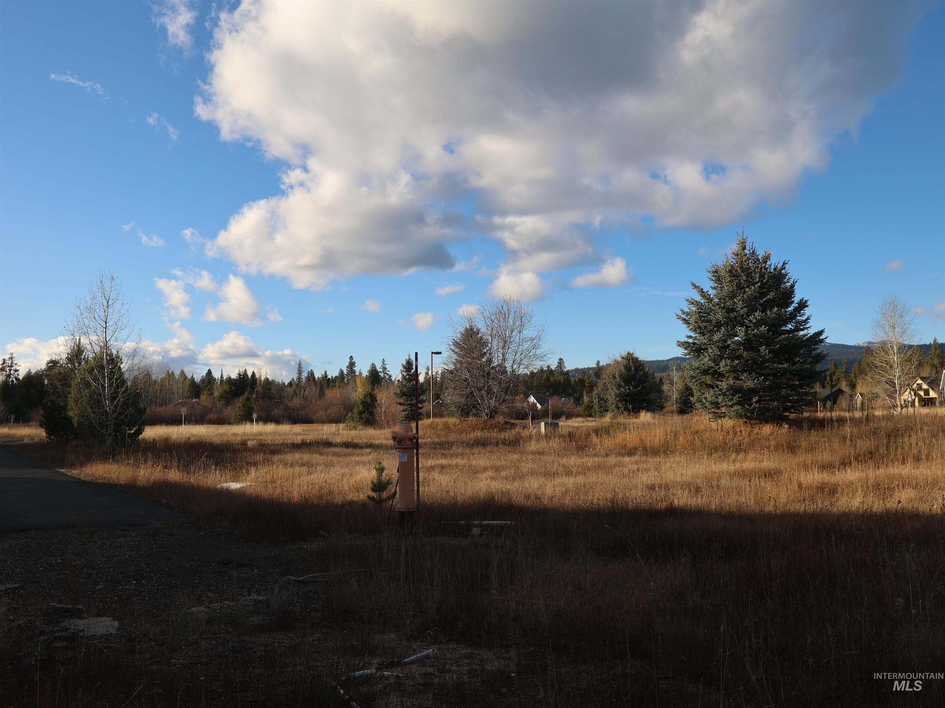 1643 Ginney Way Property Photo 17