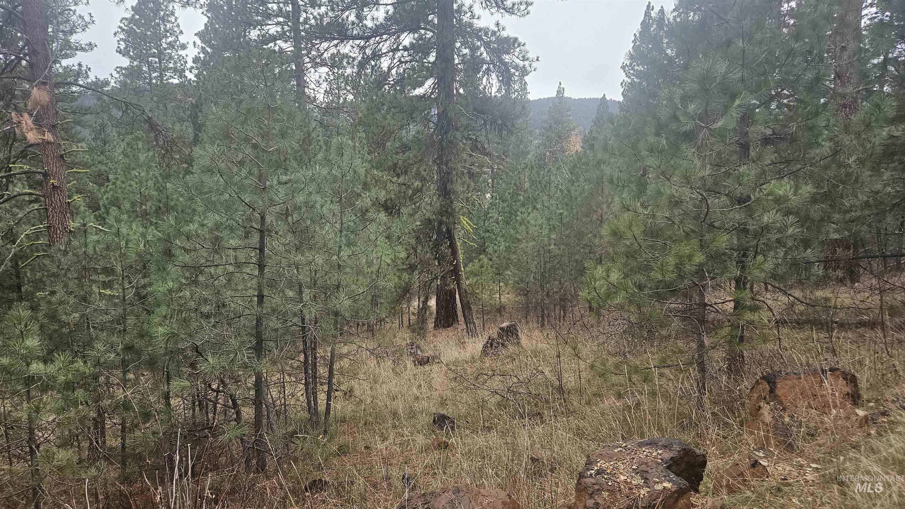 Lot 4 Boise Holcomb #3 Property Photo 1