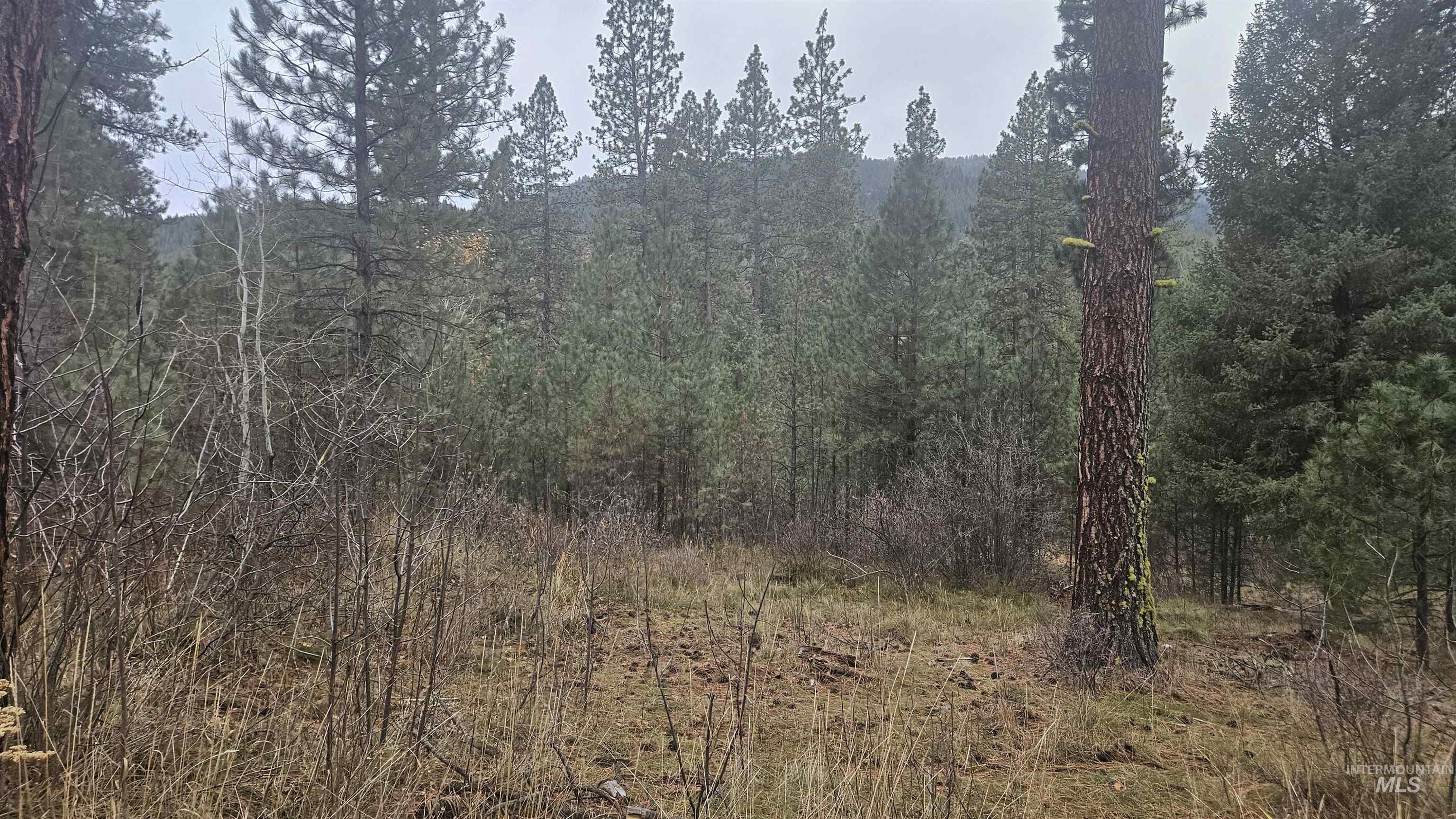 Lot 4 Boise Holcomb #3 Property Photo 3