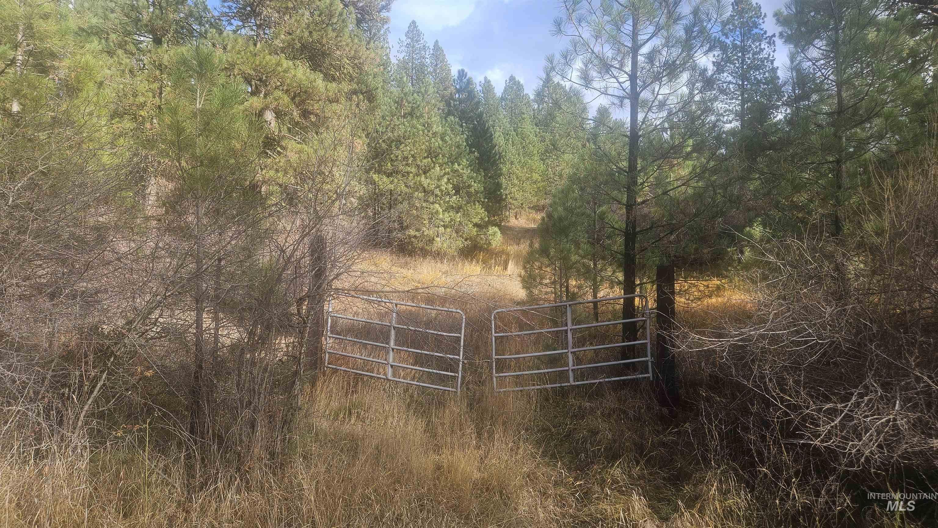 Lot 4 Boise Holcomb #3 Property Photo 4