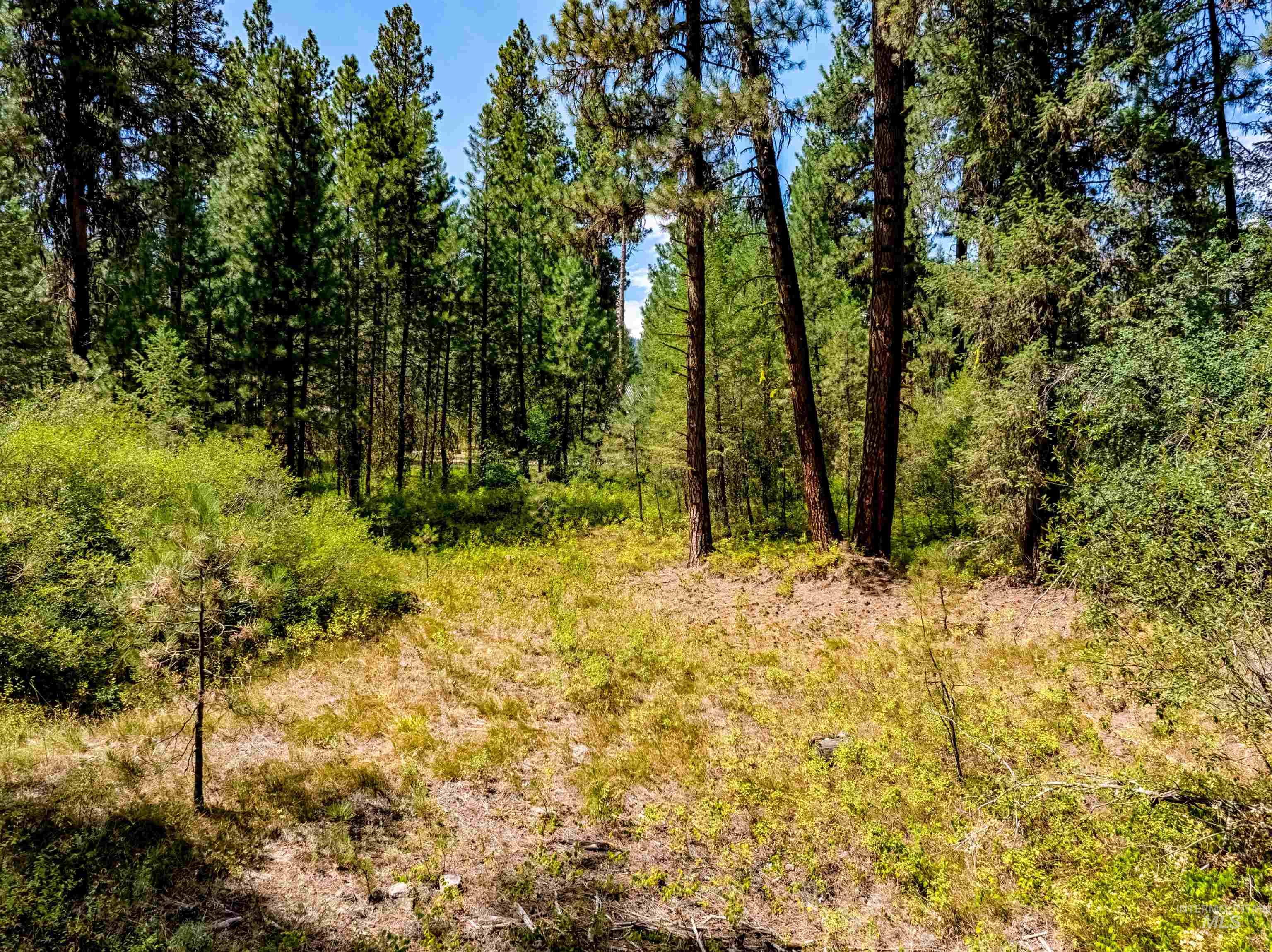 Lot 32 Boise Holcomb Sub 3 Property Photo 1