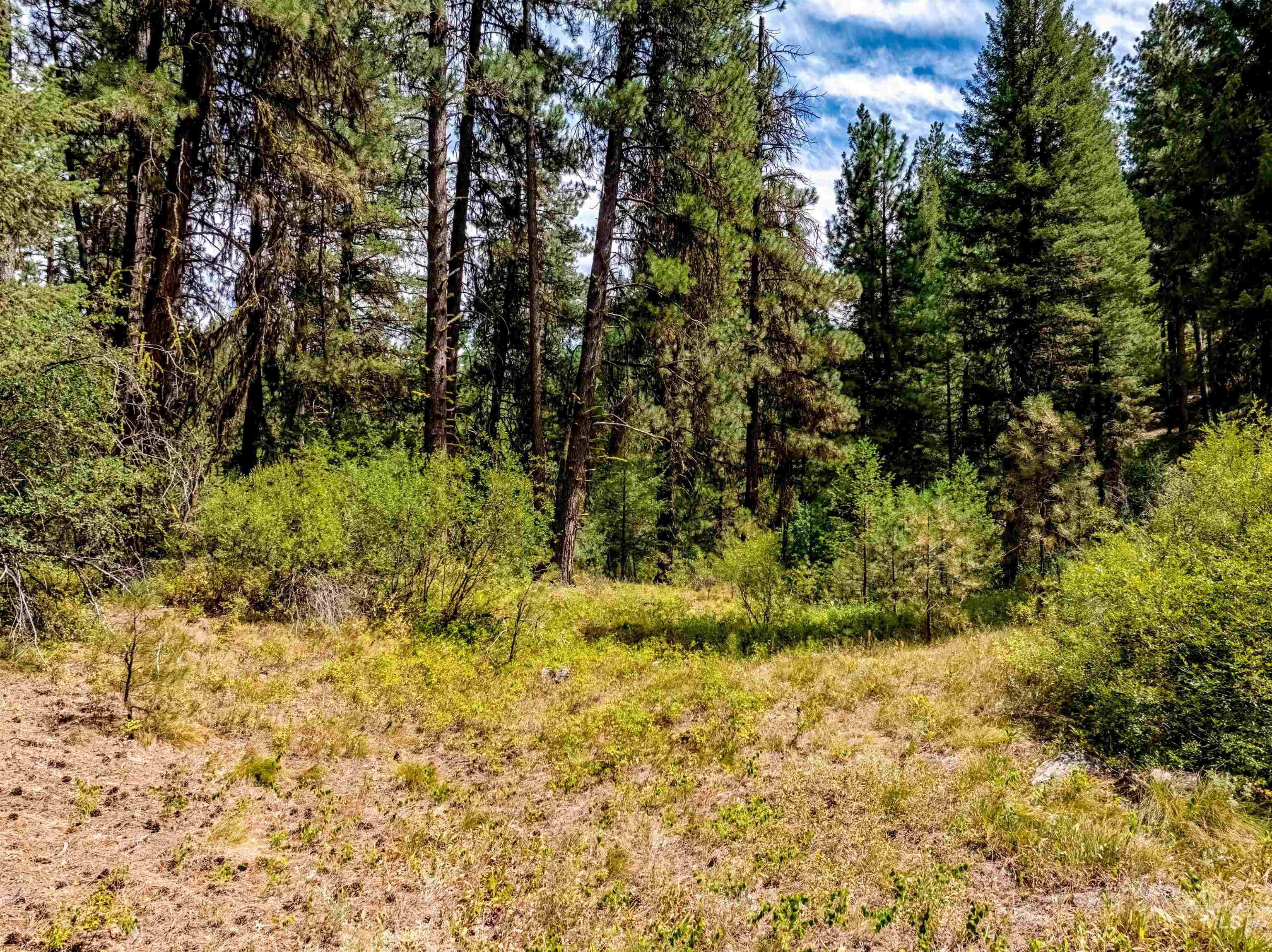 Lot 32 Boise Holcomb Sub 3 Property Photo 2