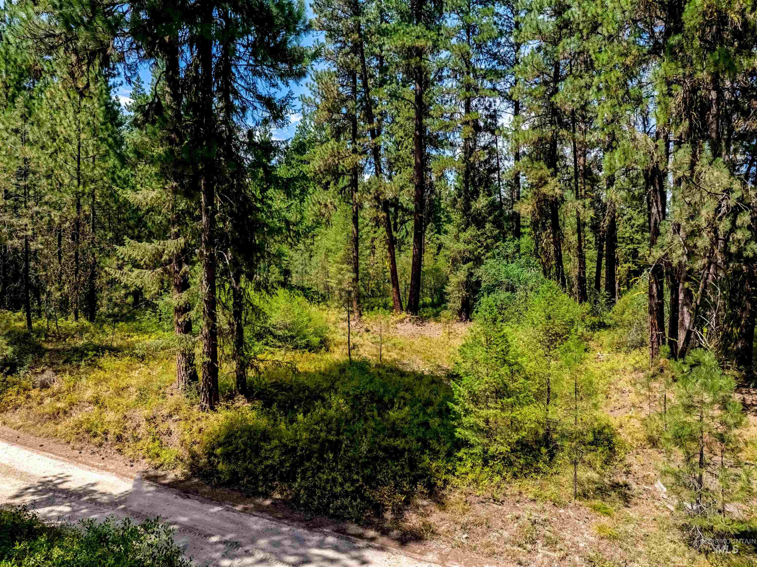 Lot 32 Boise Holcomb Sub 3 Property Photo 3