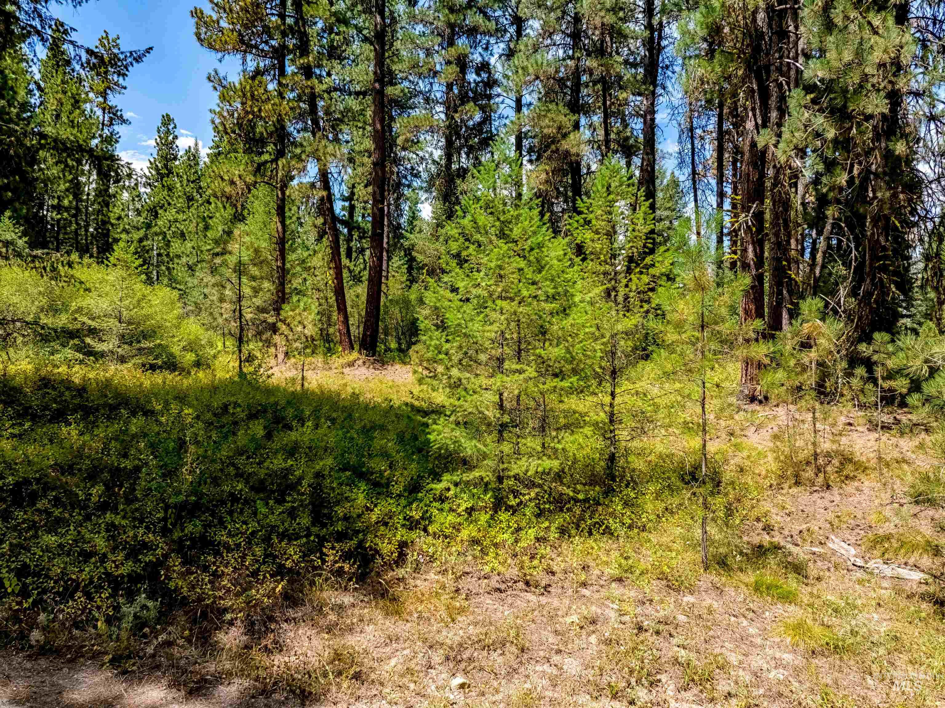 Lot 32 Boise Holcomb Sub 3 Property Photo 4