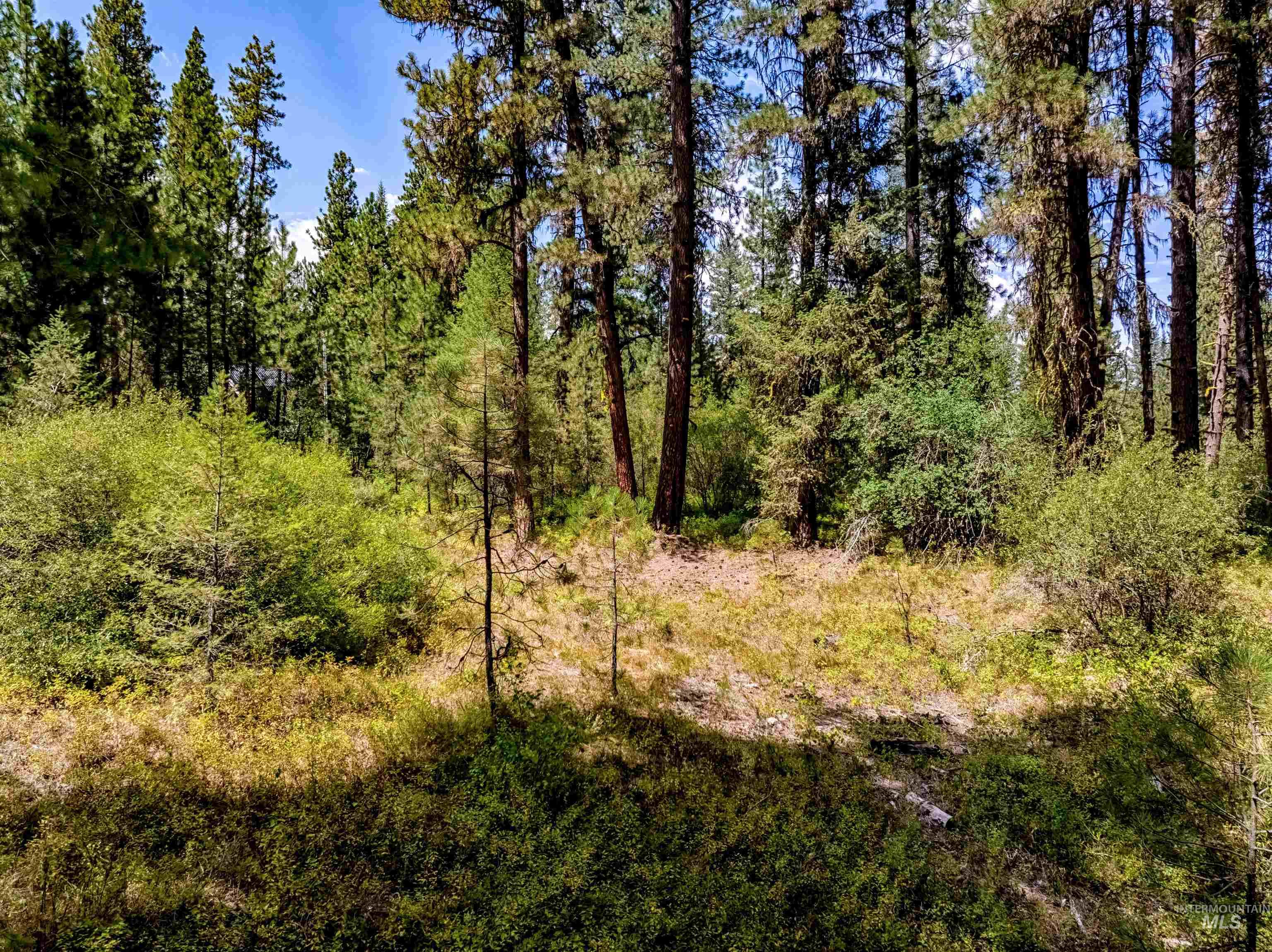 Lot 32 Boise Holcomb Sub 3 Property Photo 5