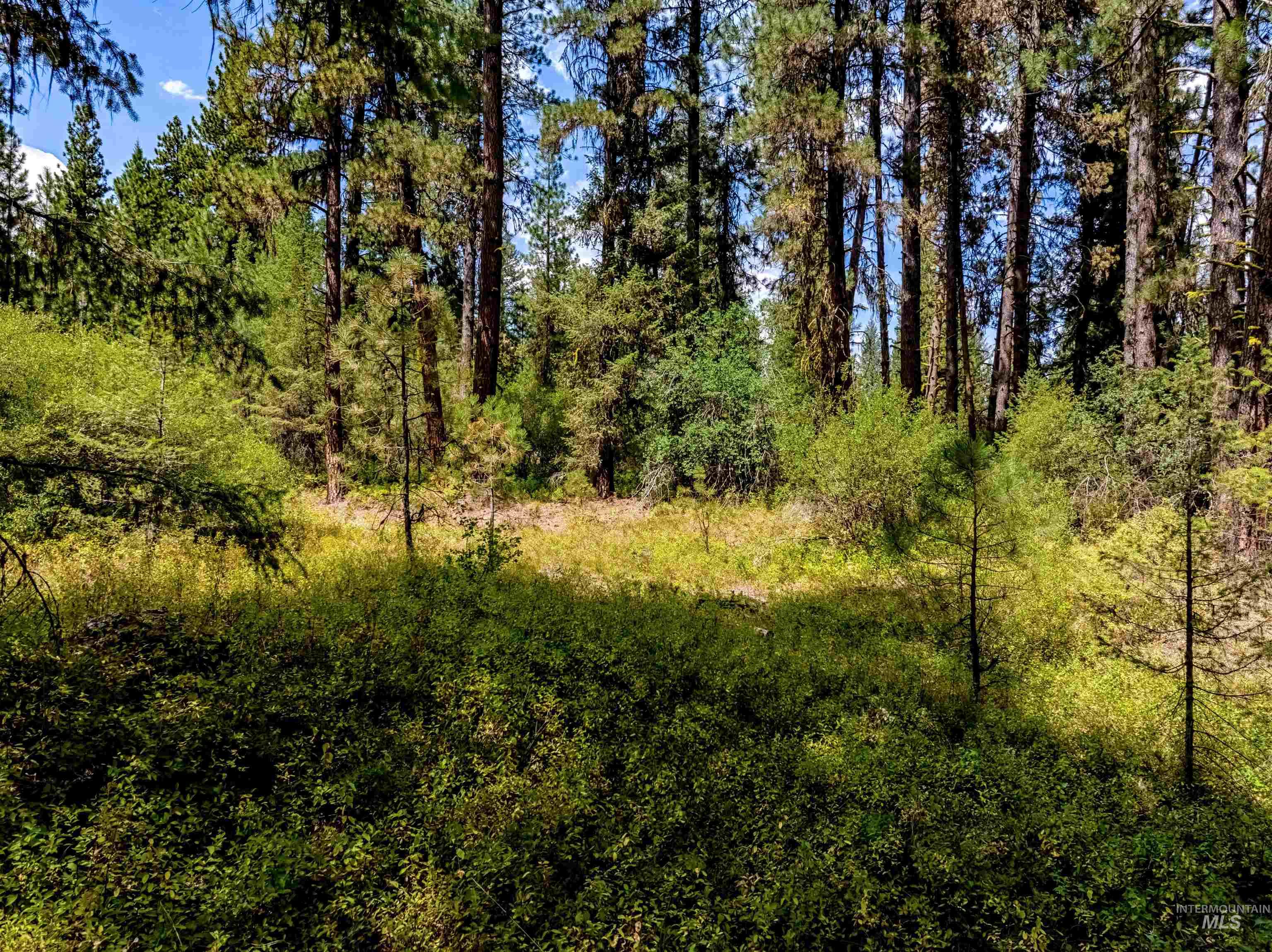 Lot 32 Boise Holcomb Sub 3 Property Photo 6