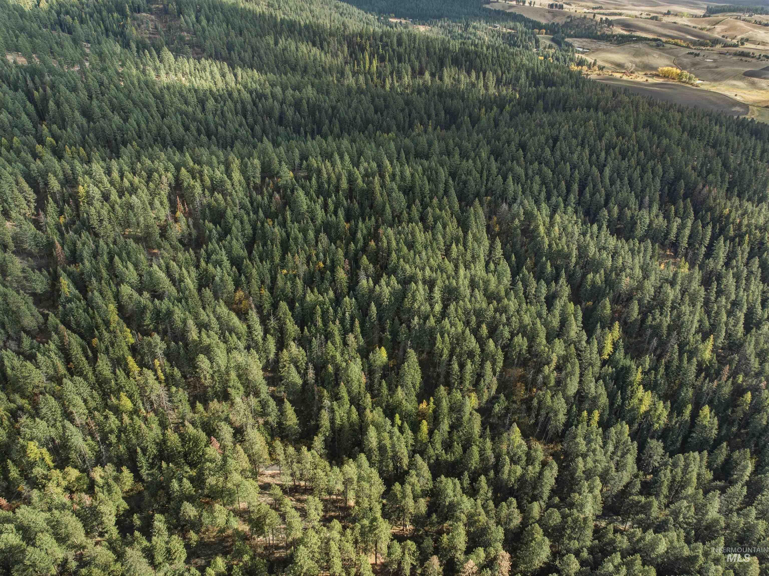 Tbd Foothill Rd Property Photo 5