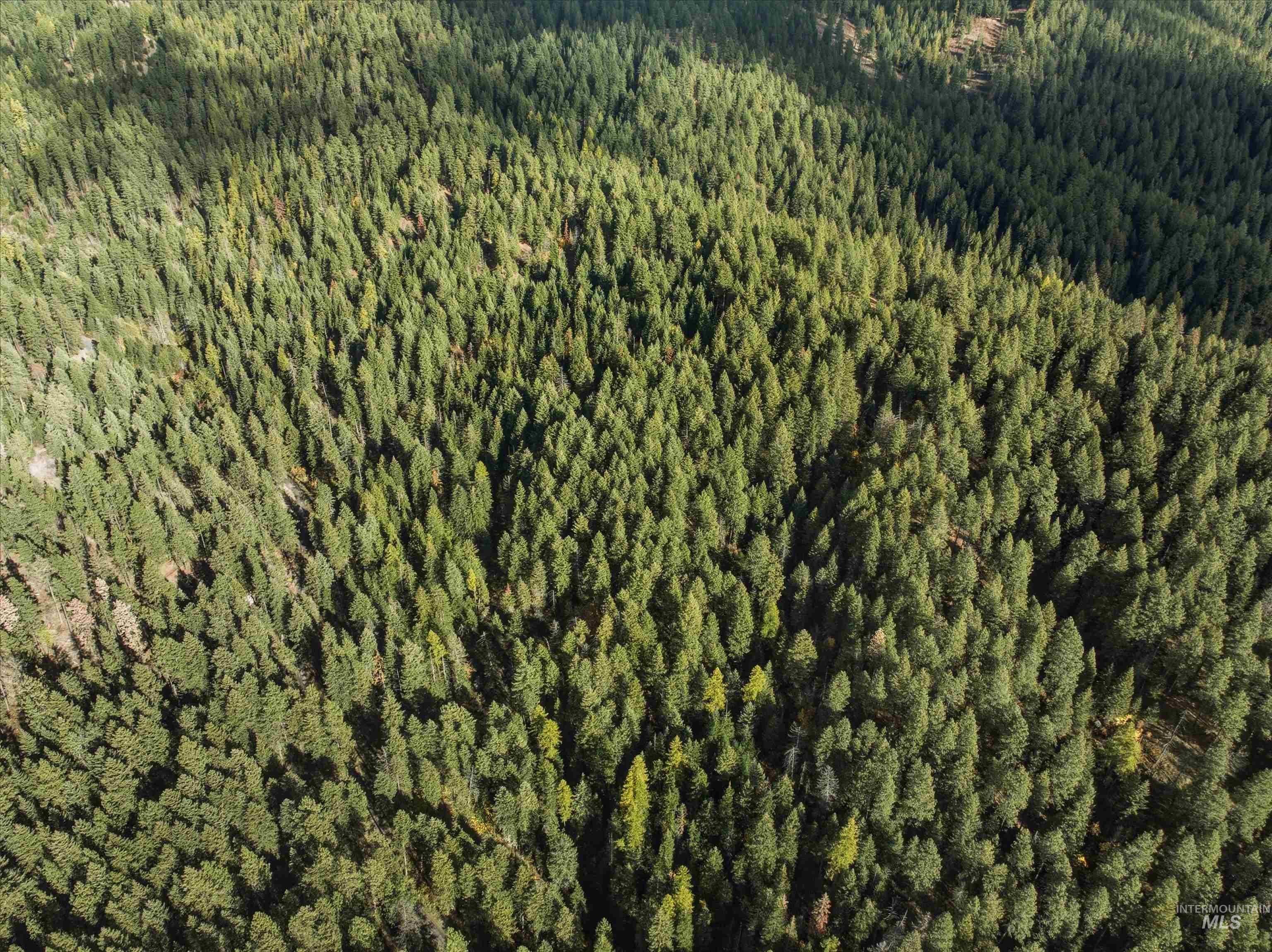 Tbd Foothill Rd Property Photo 7