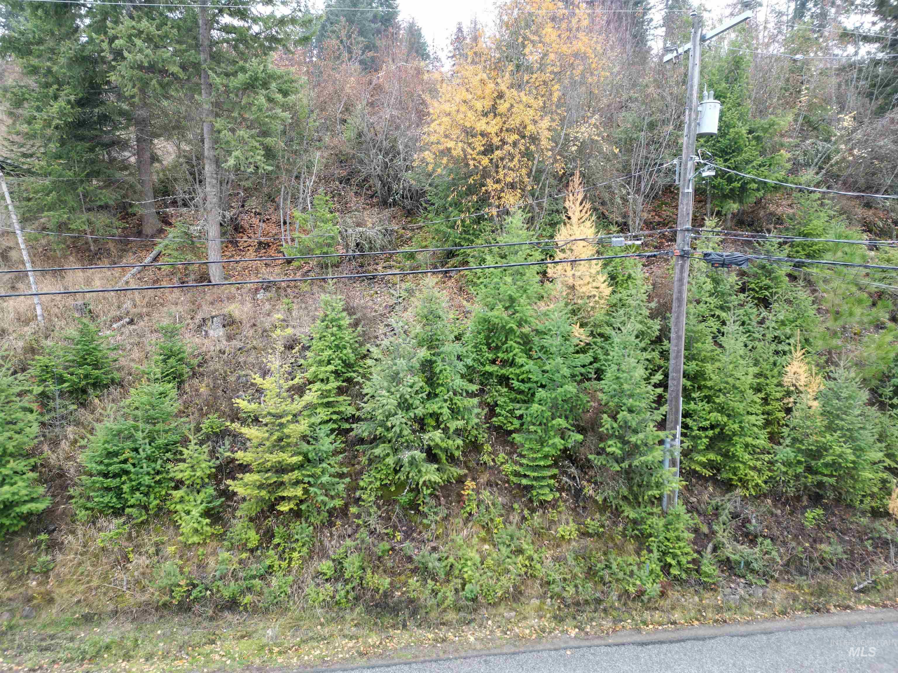 Nka E Upper Hayden Lake Rd. Property Photo 2