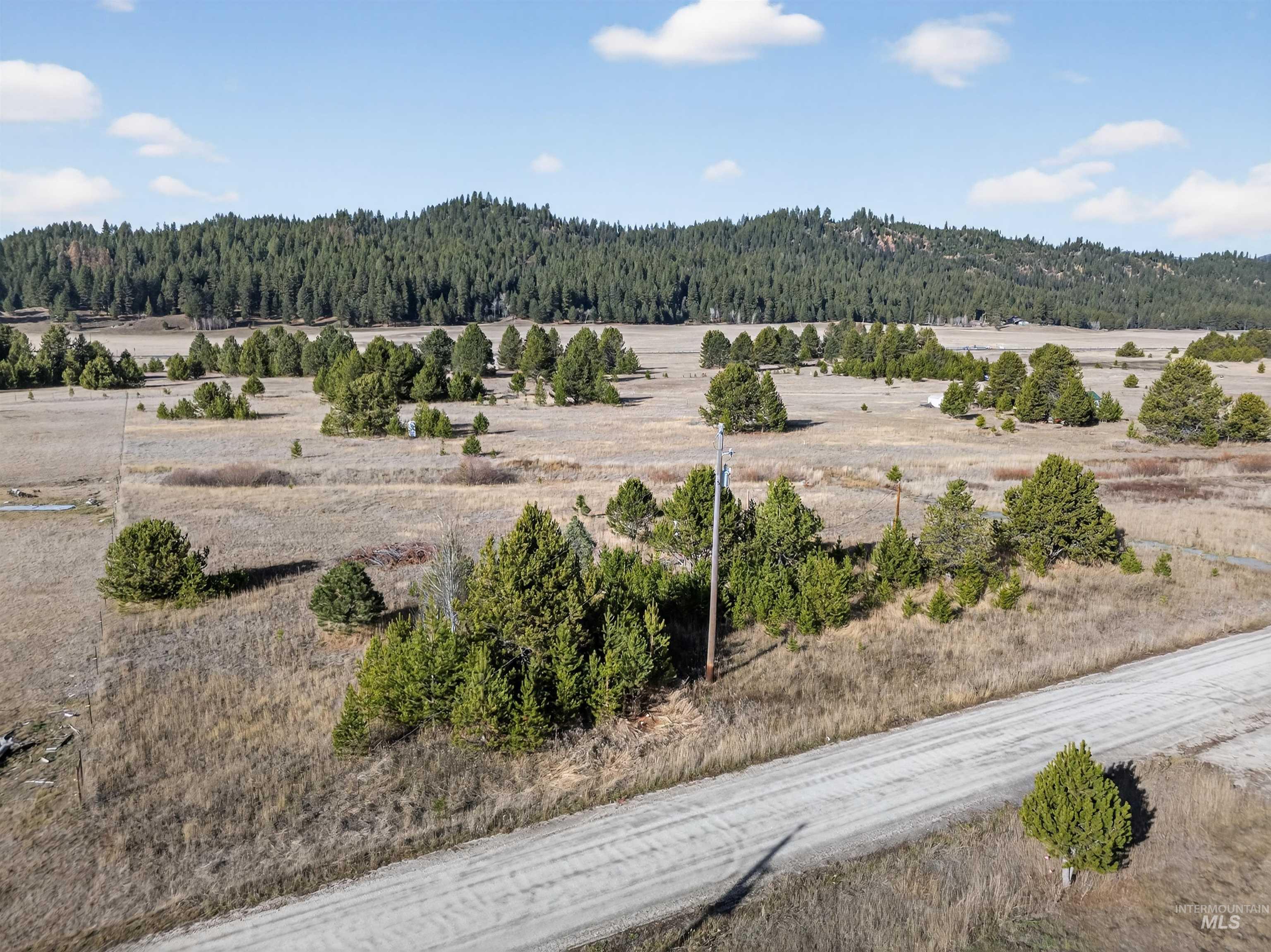 10201 Packsaddle Rd Property Photo 3