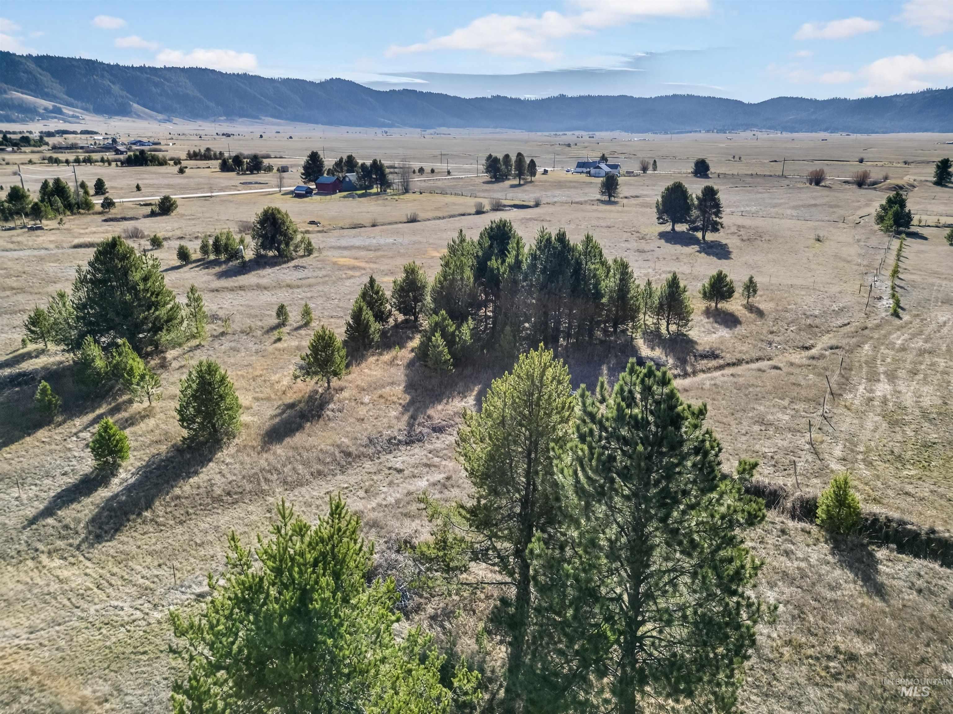 10201 Packsaddle Rd Property Photo 7