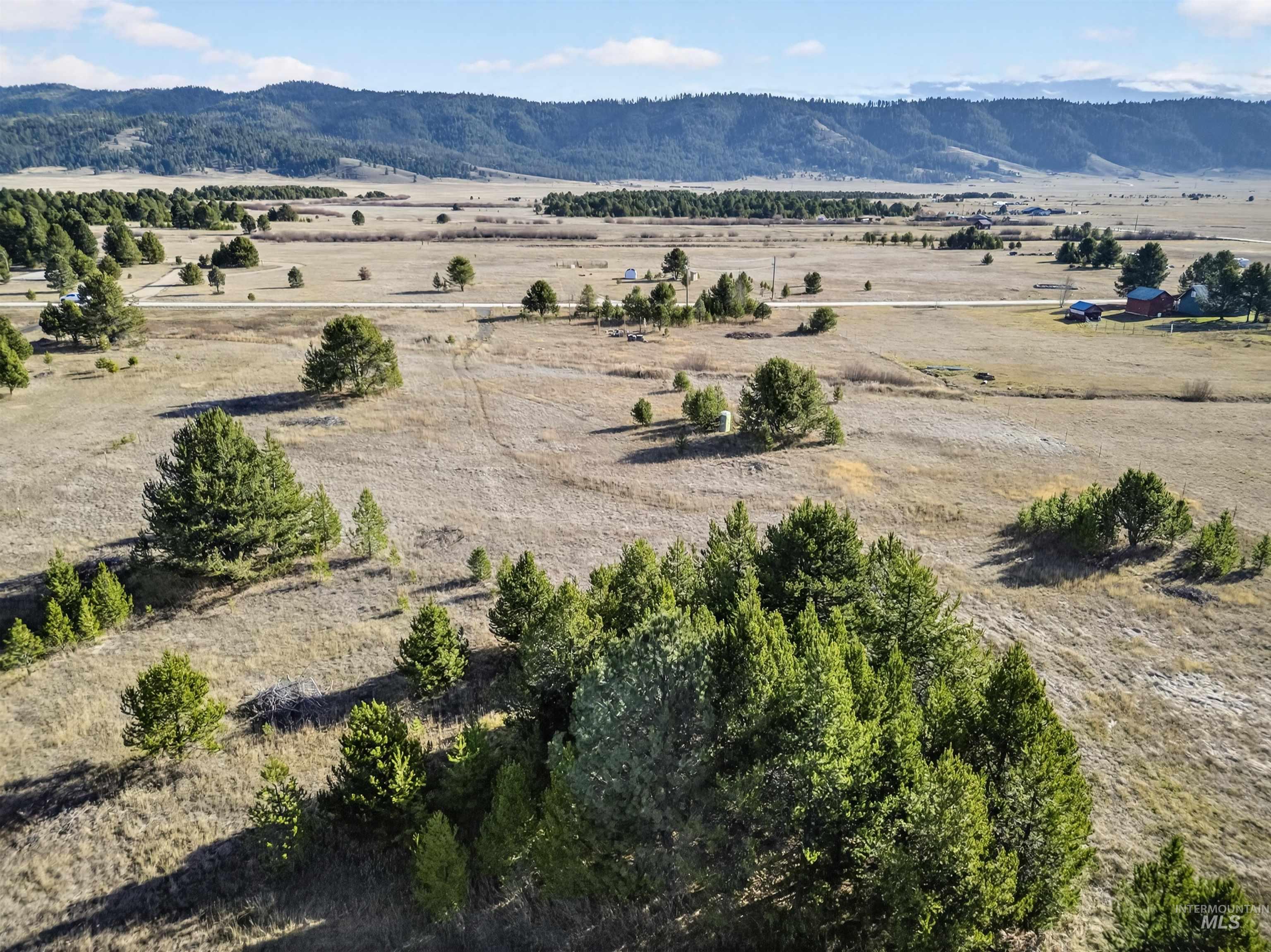 10201 Packsaddle Rd Property Photo 8