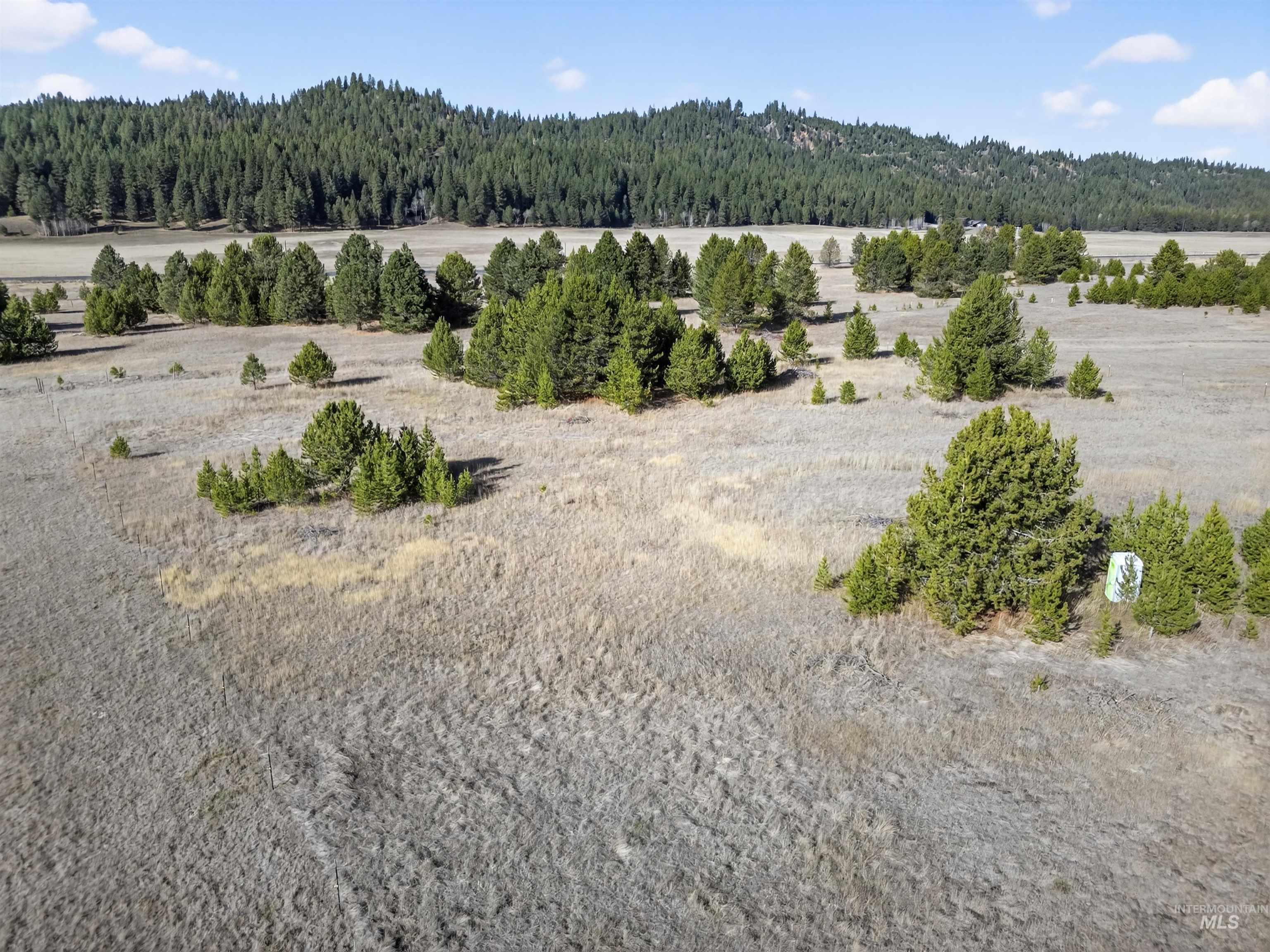 10201 Packsaddle Rd Property Photo 29