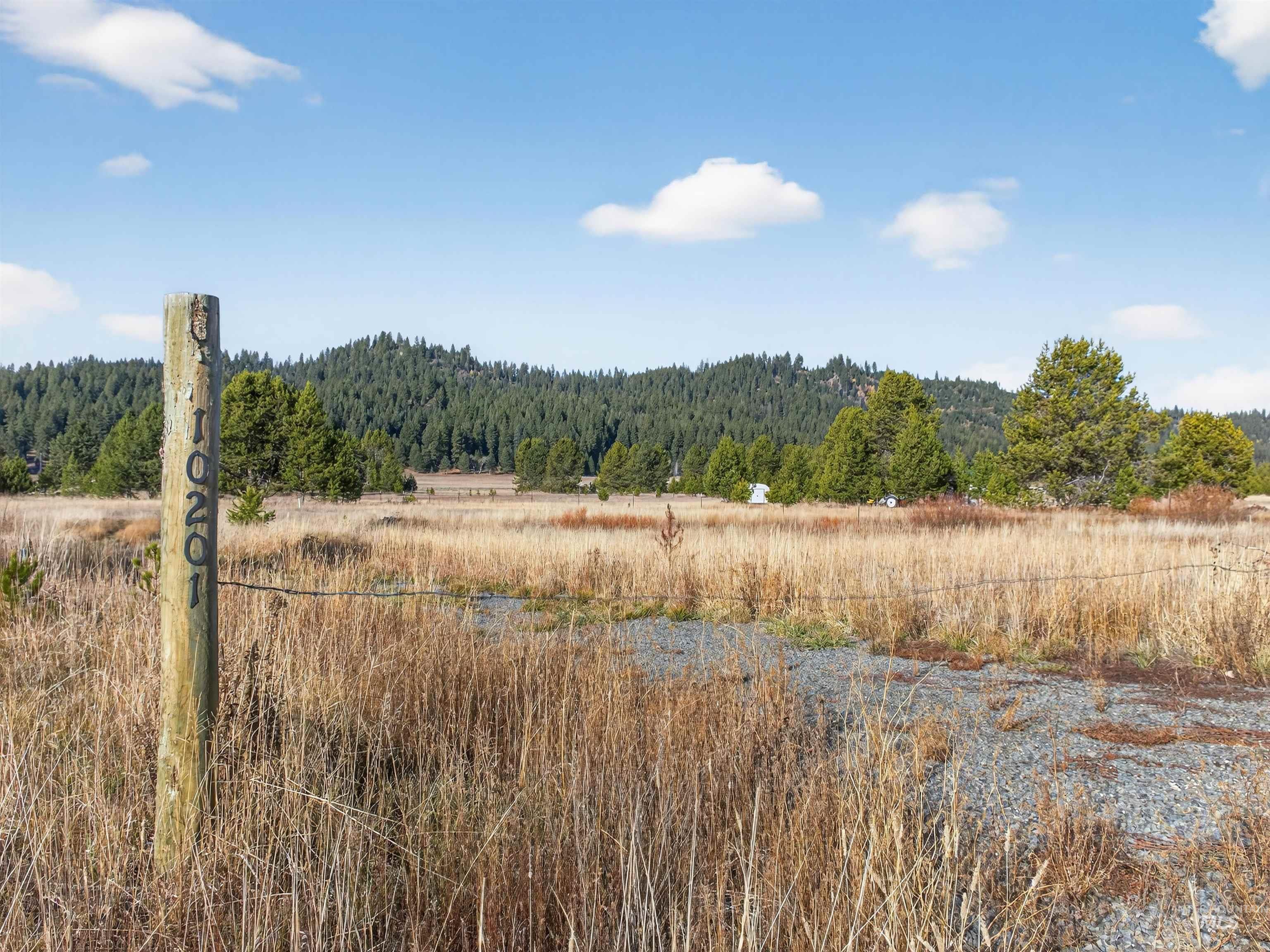 10201 Packsaddle Rd Property Photo 31