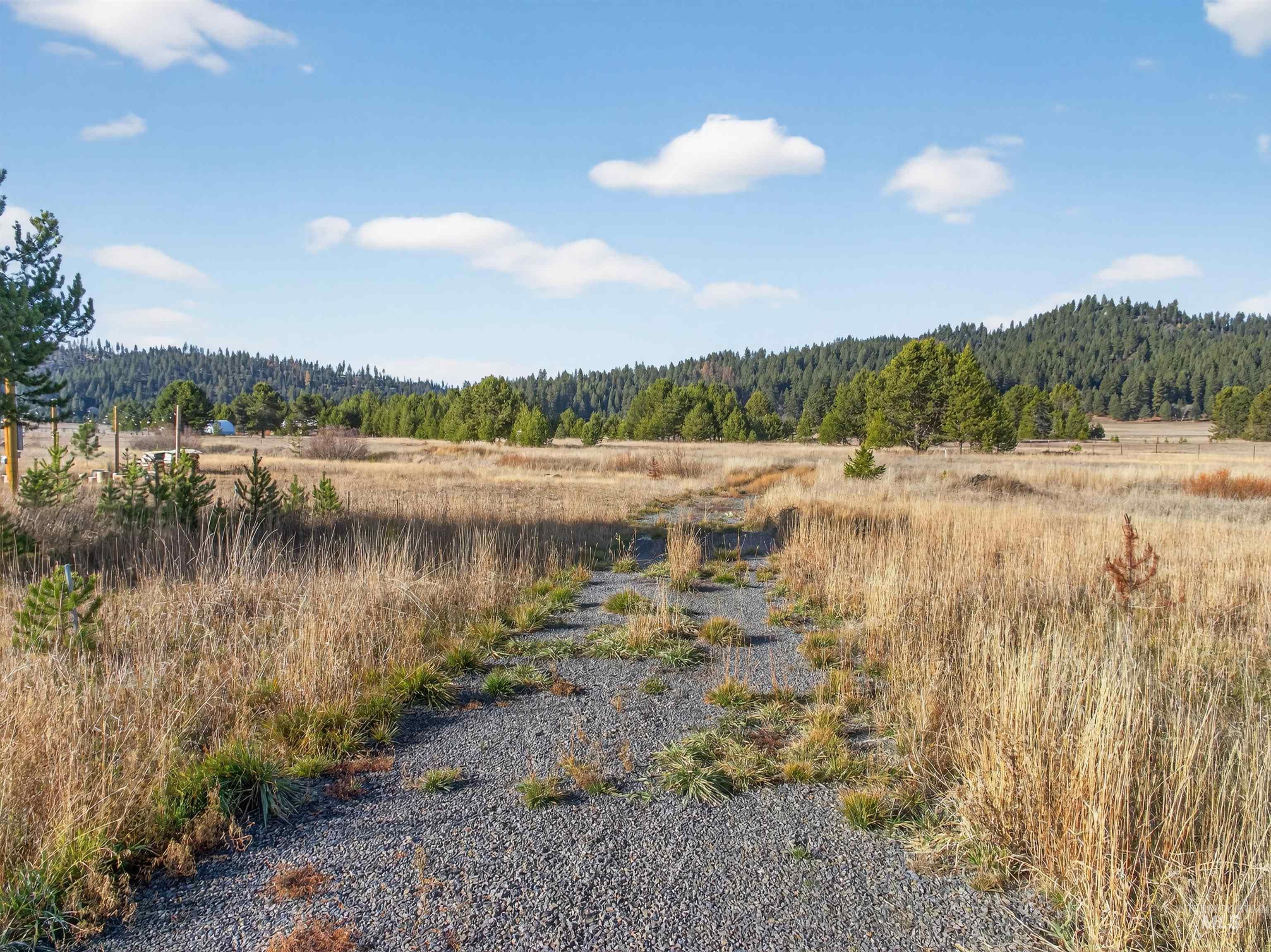 10201 Packsaddle Rd Property Photo 32