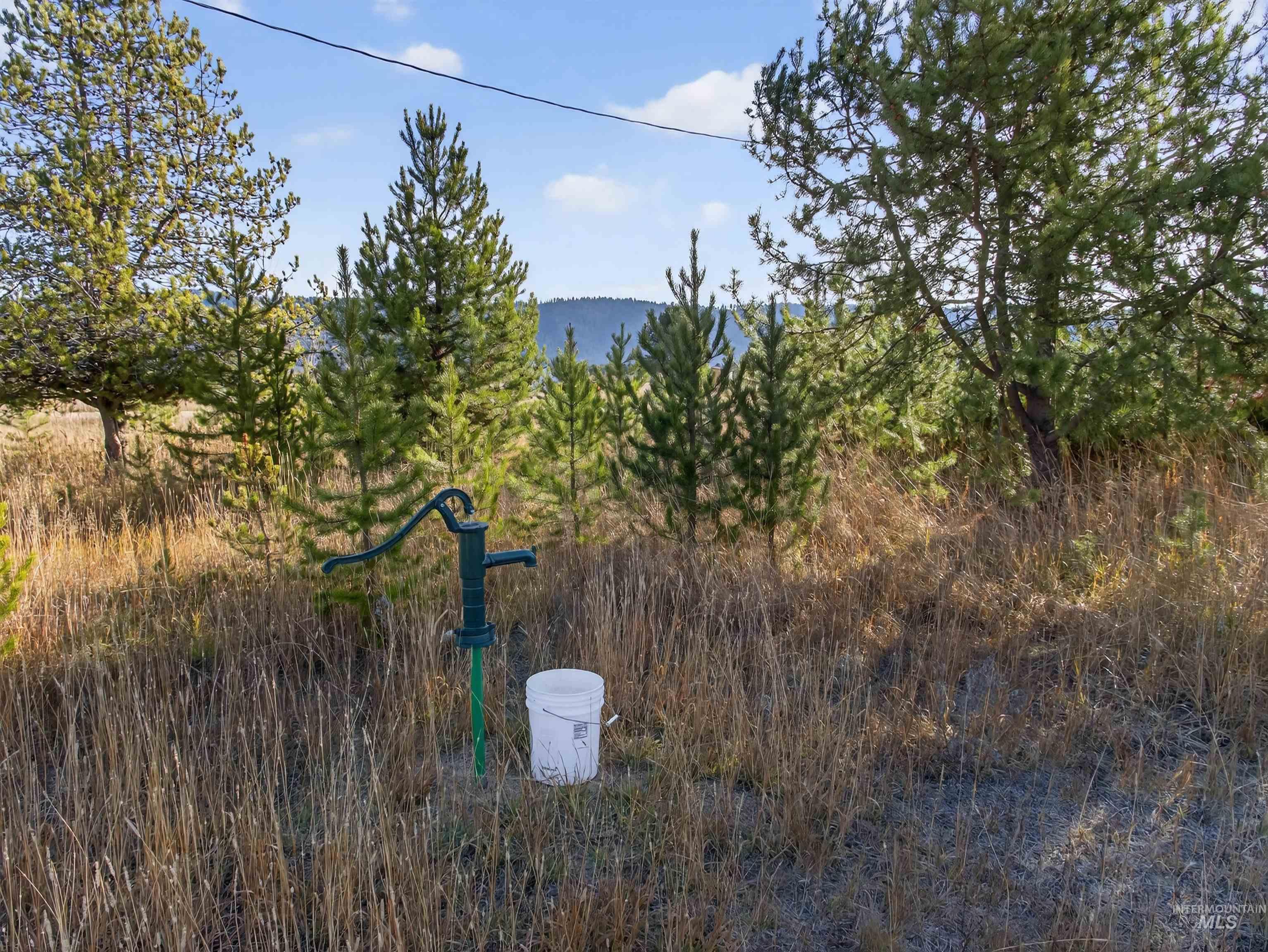 10201 Packsaddle Rd Property Photo 36