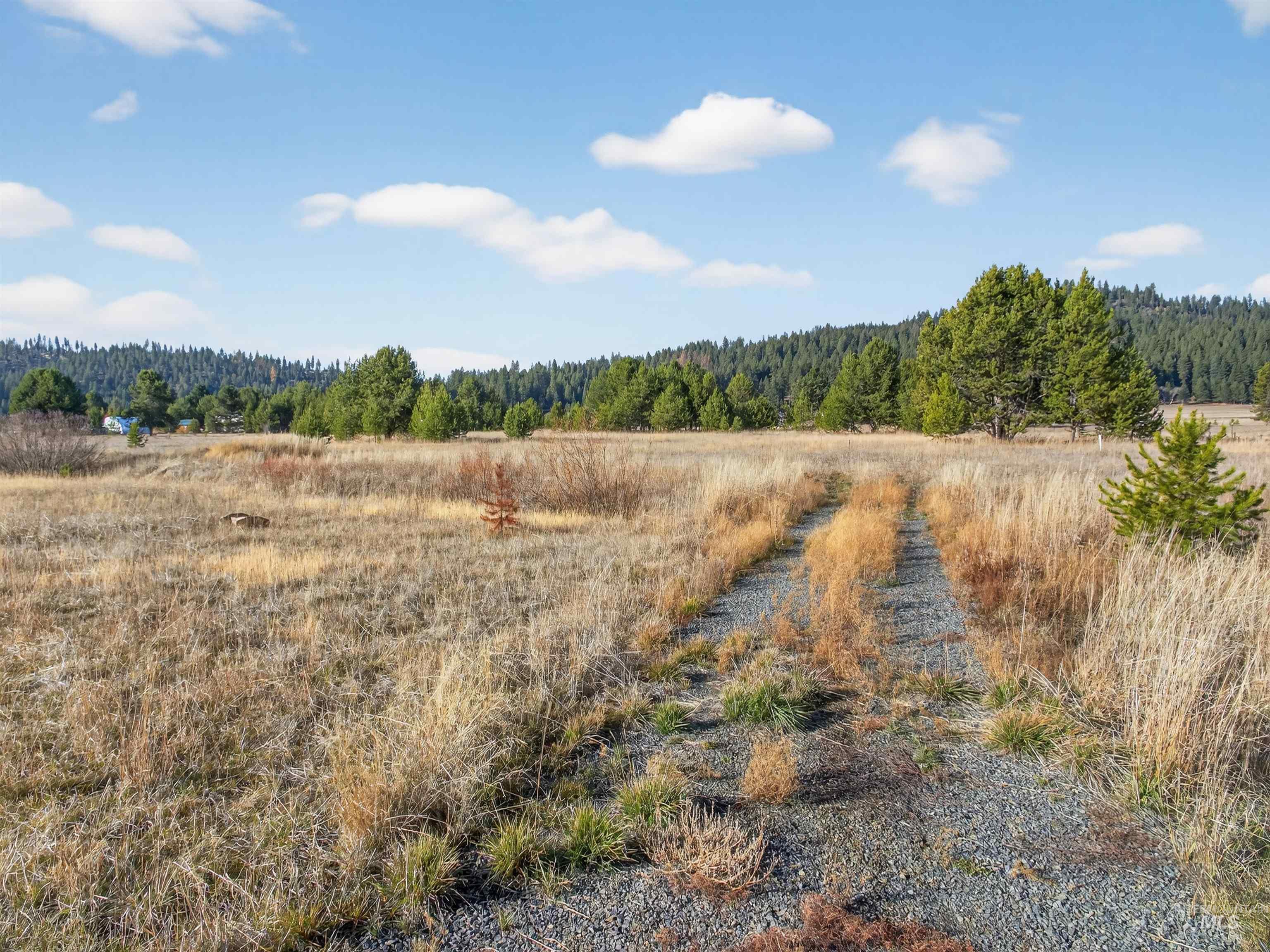 10201 Packsaddle Rd Property Photo 39