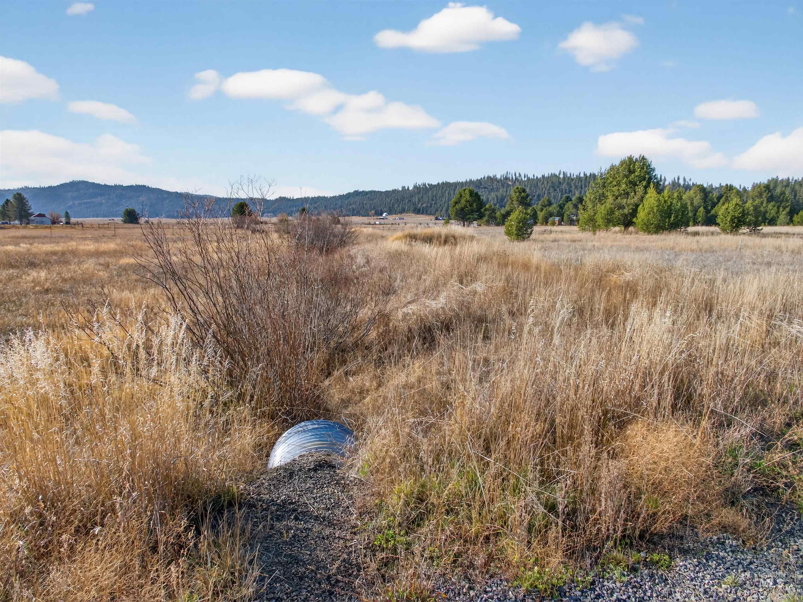 10201 Packsaddle Rd Property Photo 40