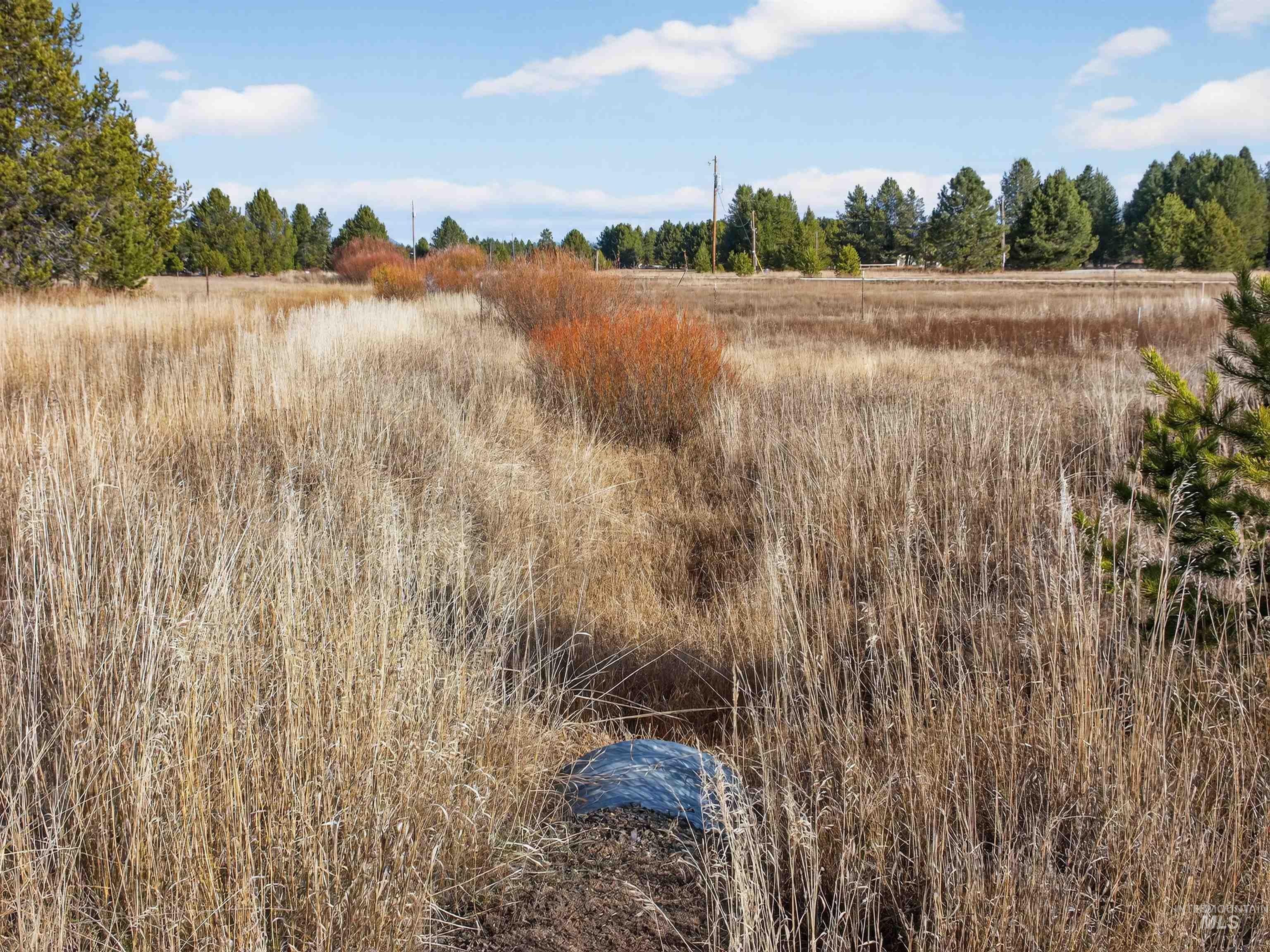 10201 Packsaddle Rd Property Photo 41
