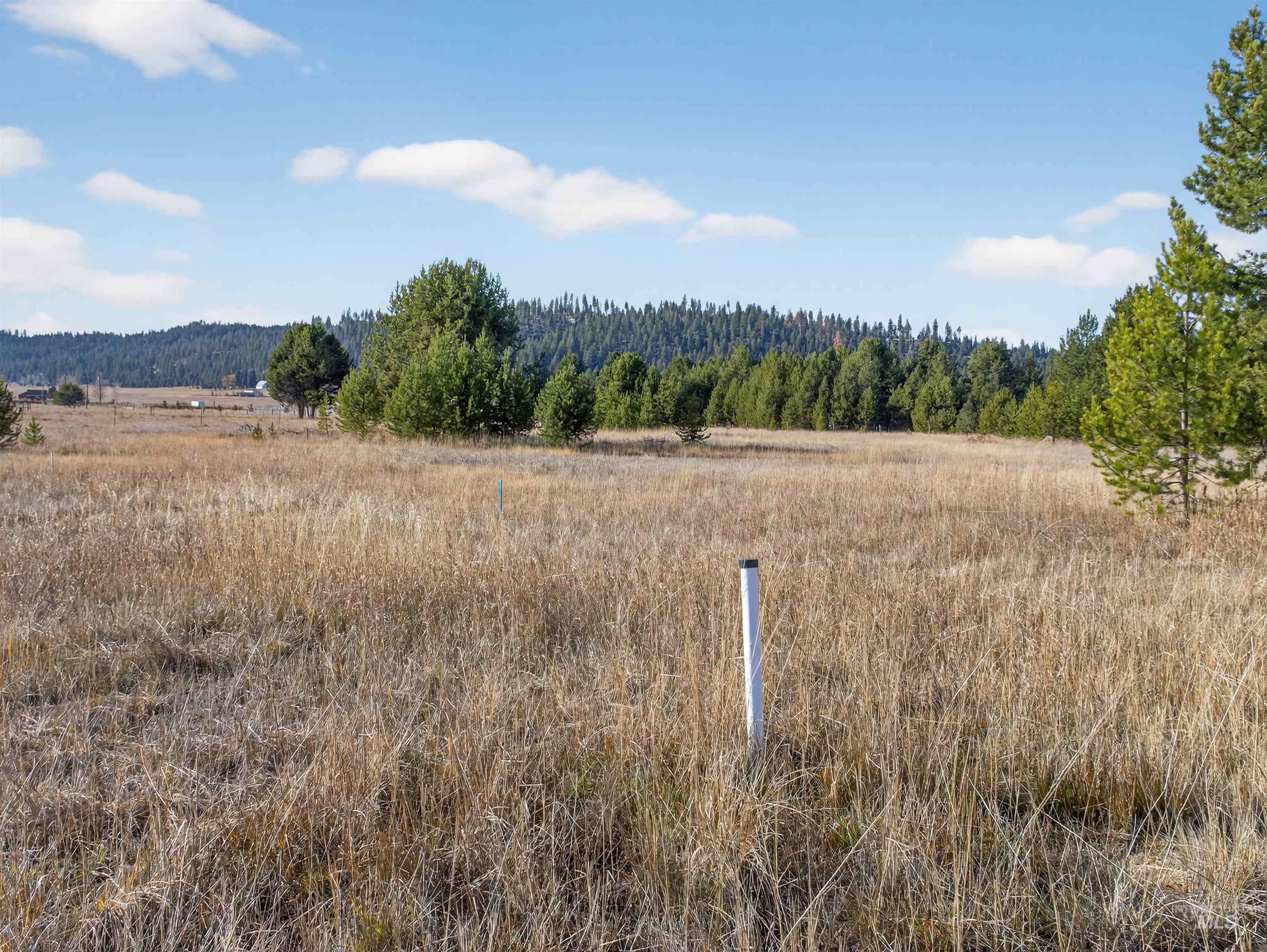 10201 Packsaddle Rd Property Photo 42