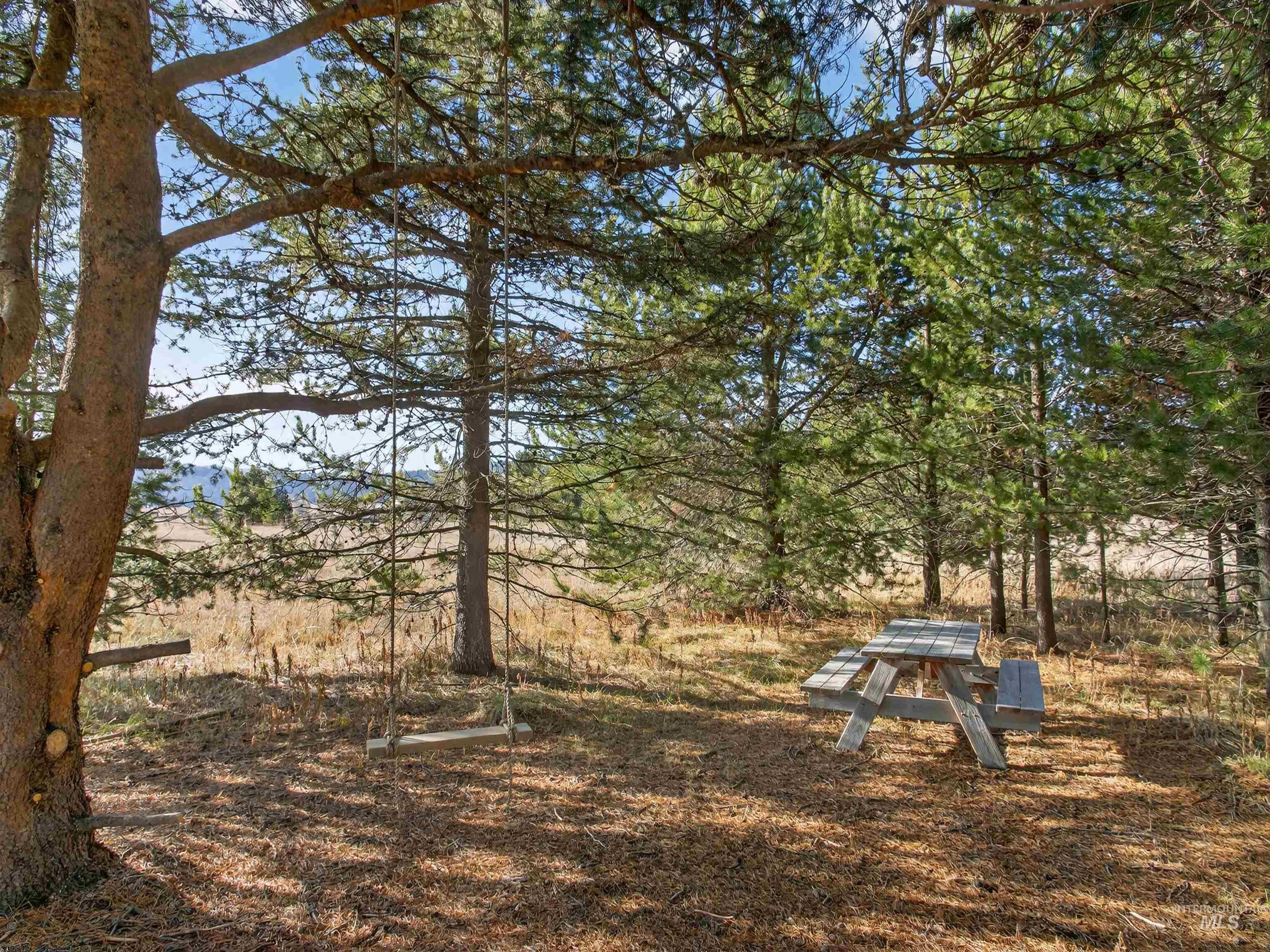 10201 Packsaddle Rd Property Photo 43