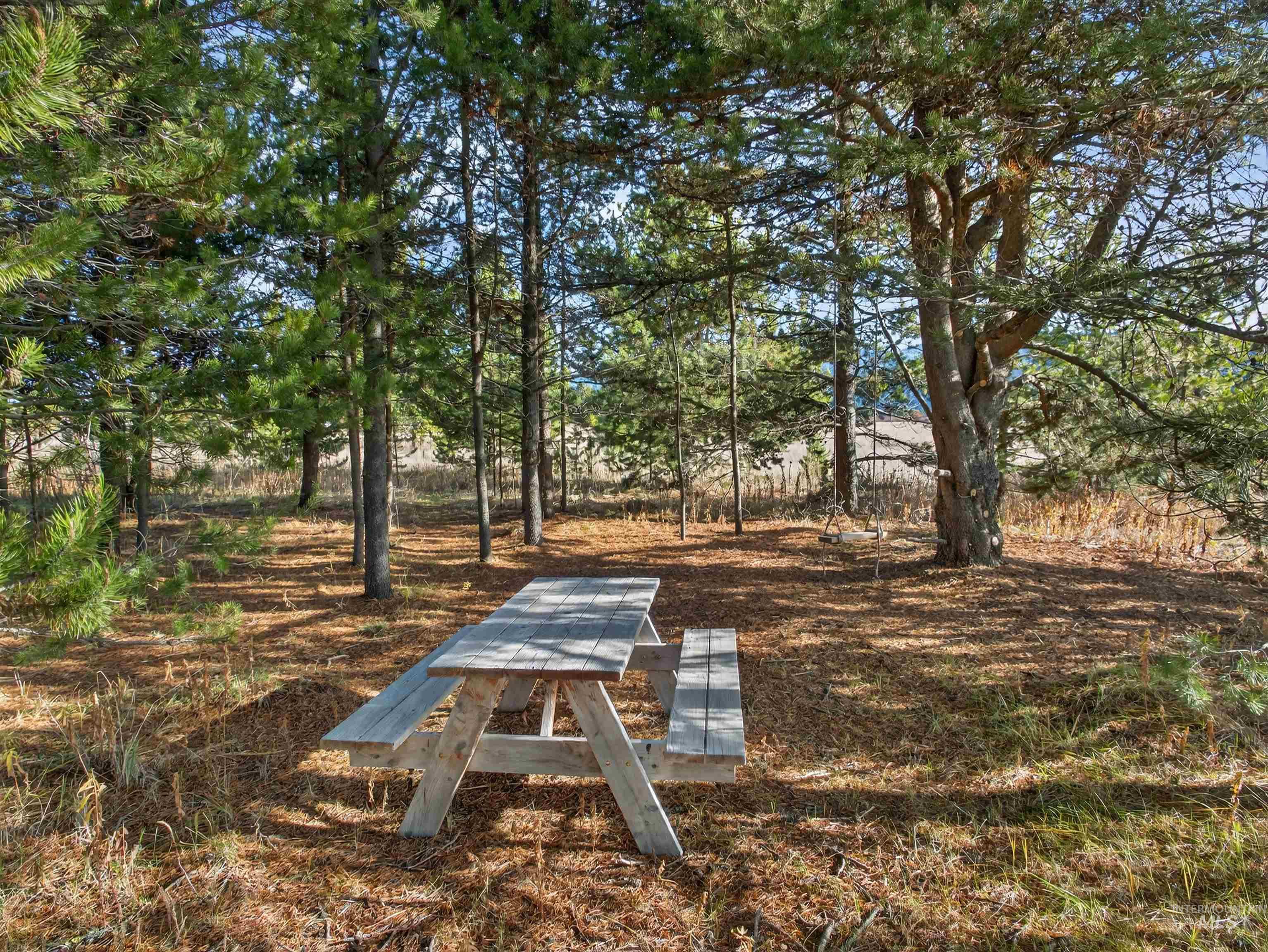 10201 Packsaddle Rd Property Photo 44
