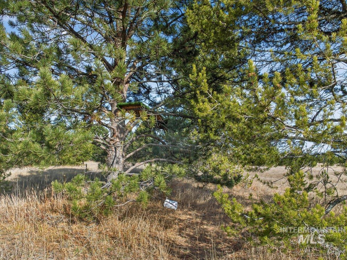 10201 Packsaddle Rd Property Photo 45