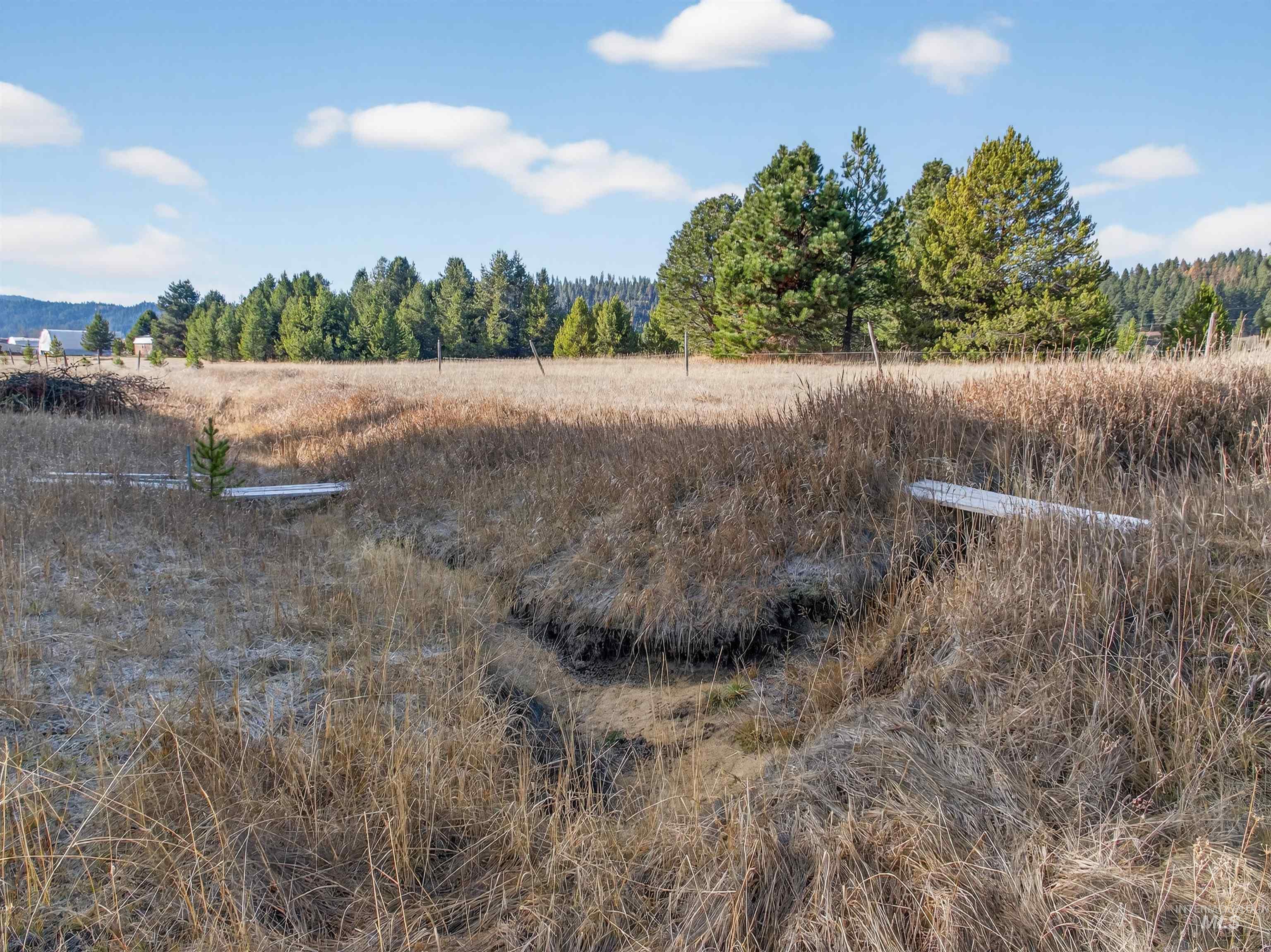 10201 Packsaddle Rd Property Photo 46