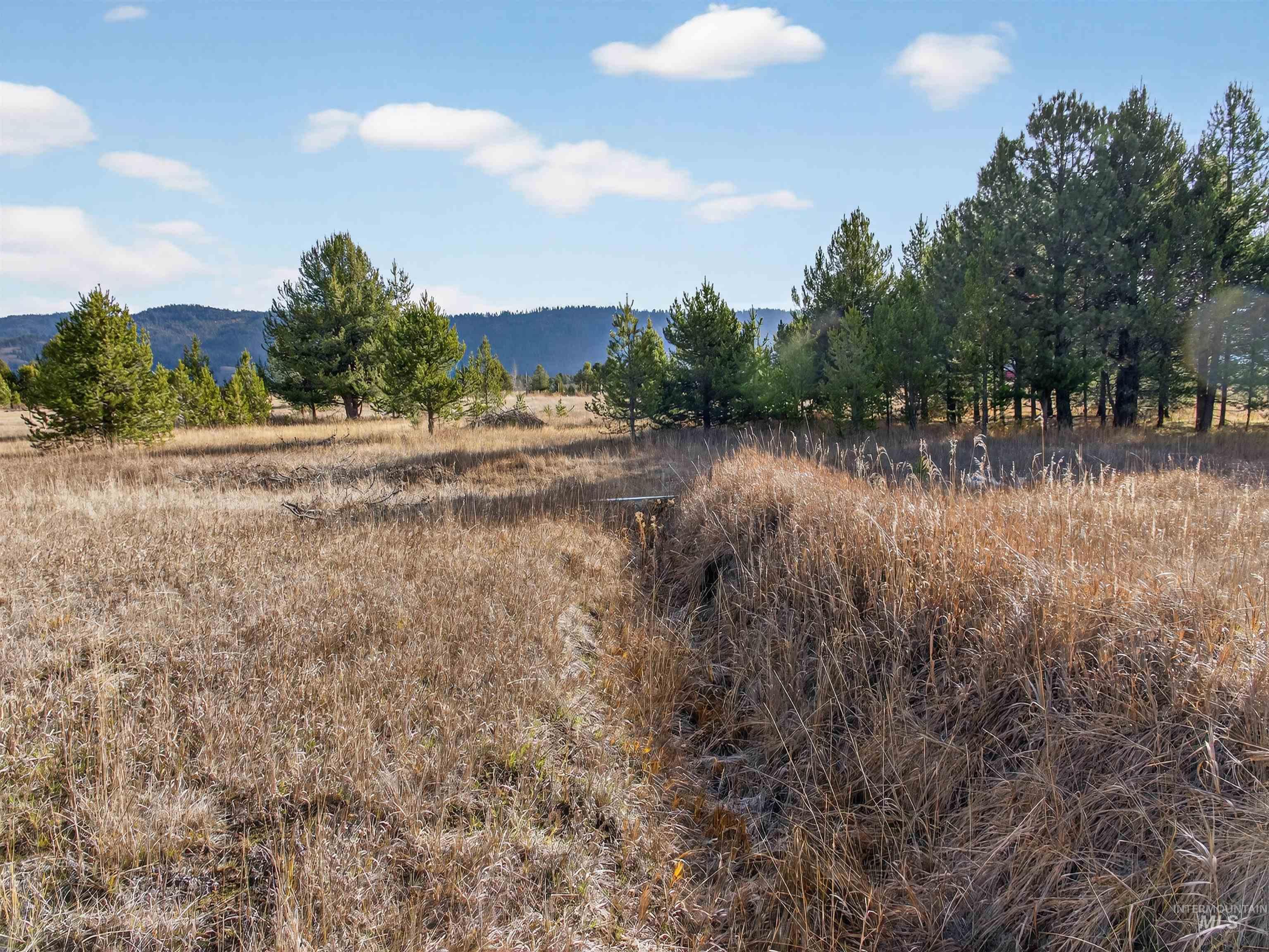 10201 Packsaddle Rd Property Photo 47