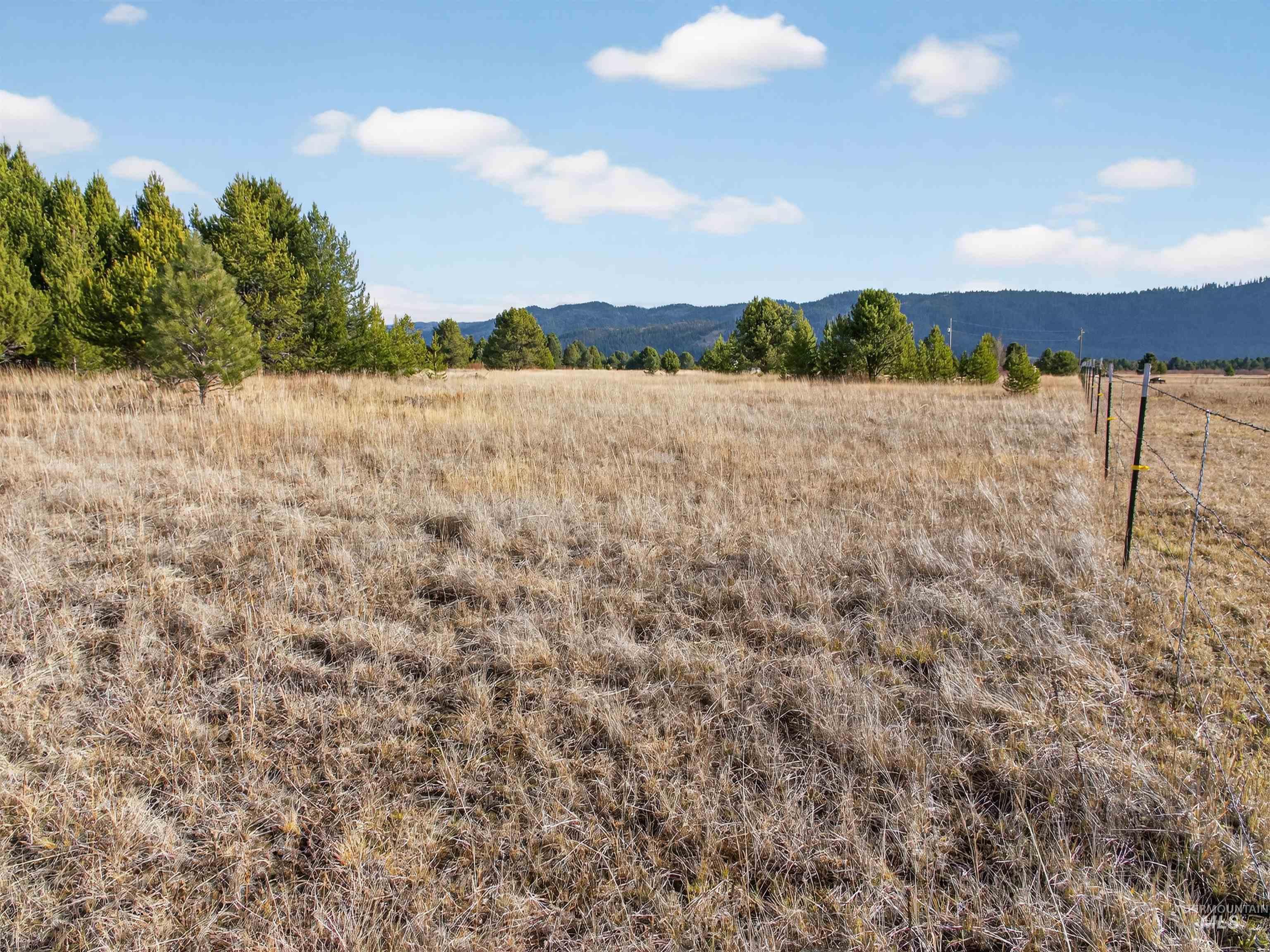 10201 Packsaddle Rd Property Photo 48