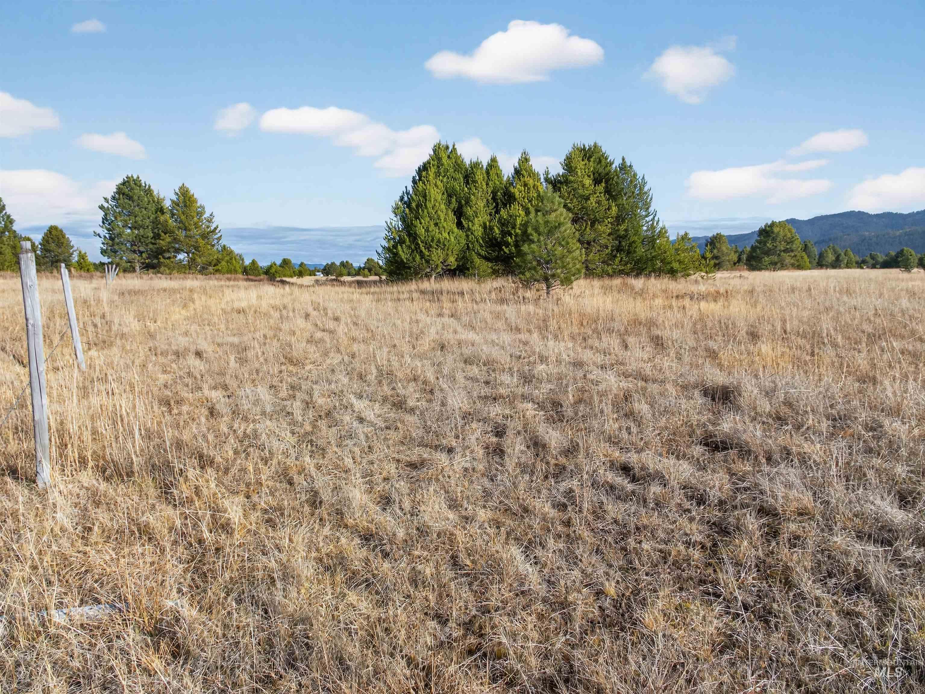 10201 Packsaddle Rd Property Photo 49