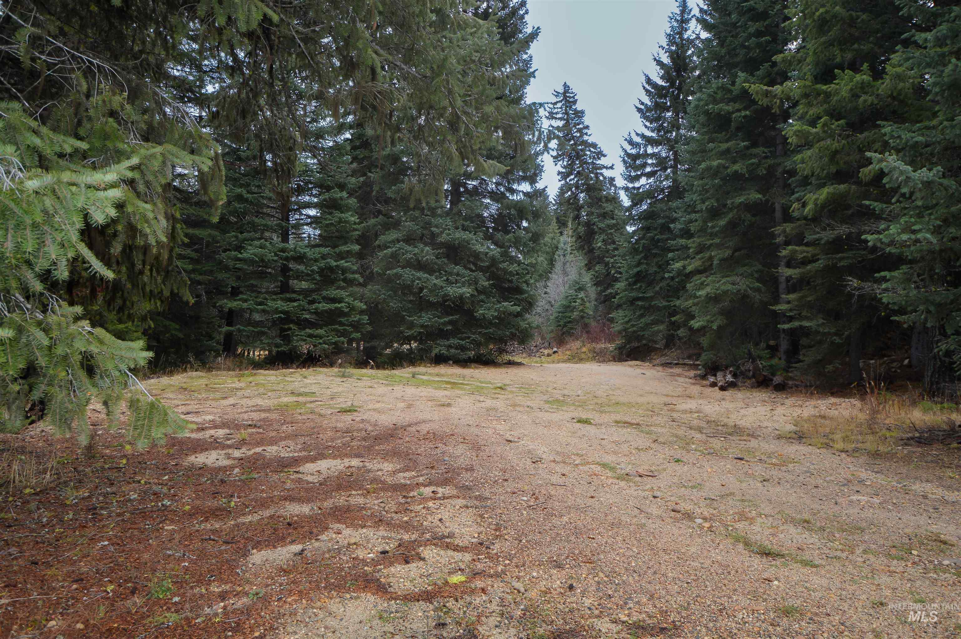 Tbd No Business Road Property Photo 3