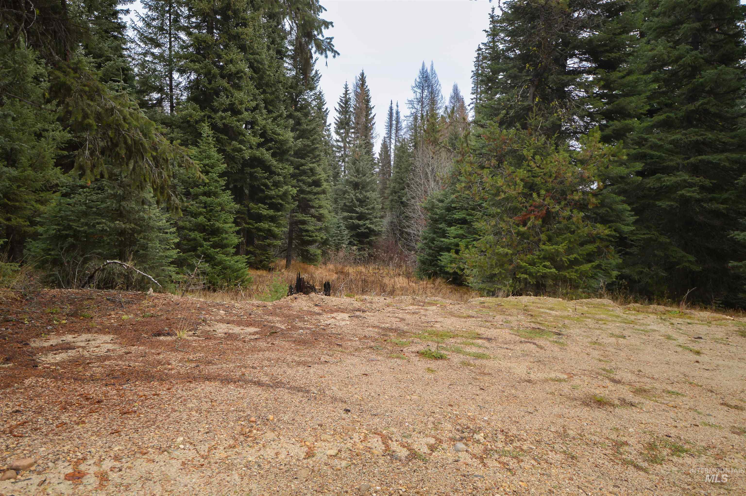 Tbd No Business Road Property Photo 4