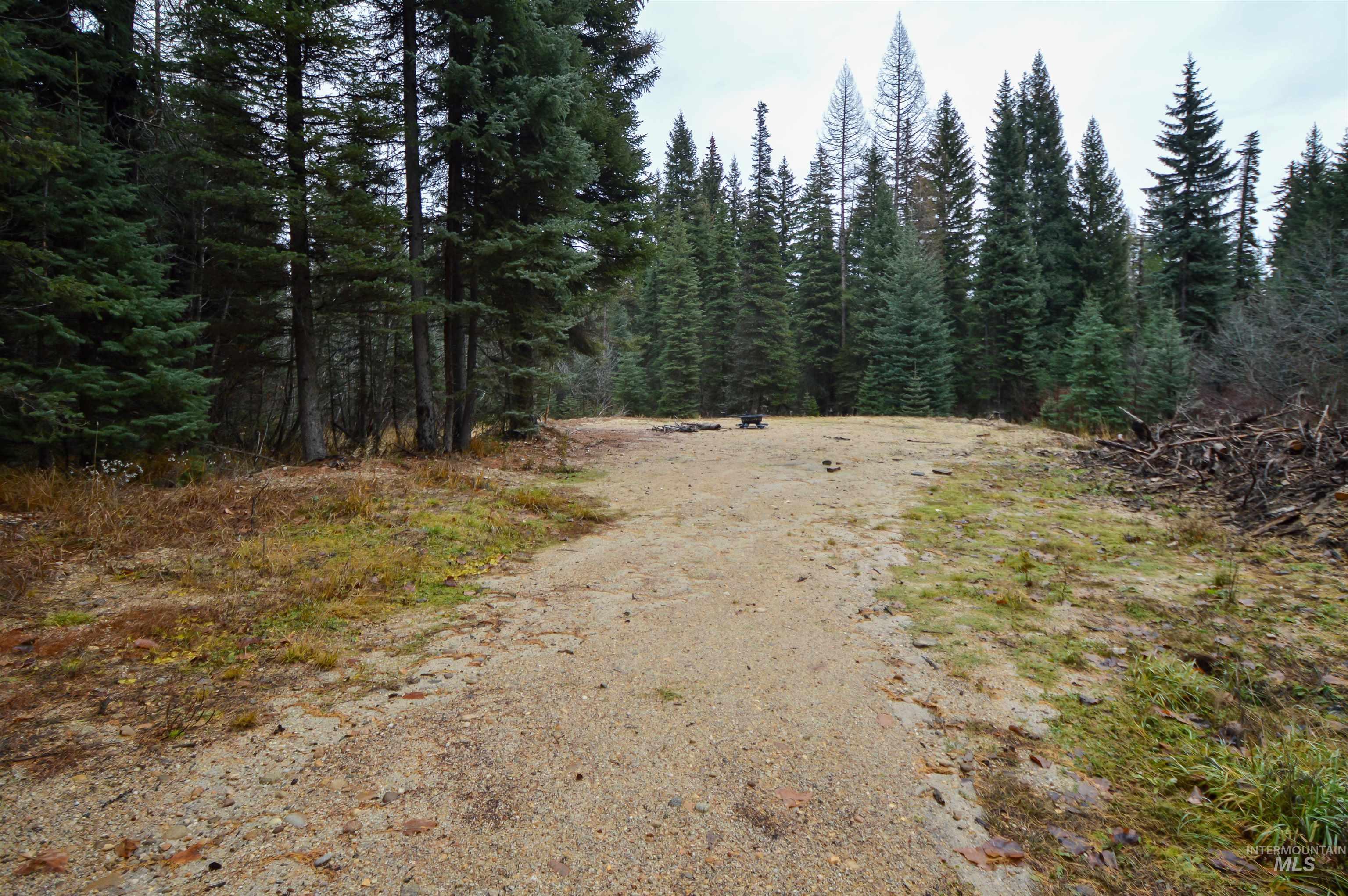 Tbd No Business Road Property Photo 9