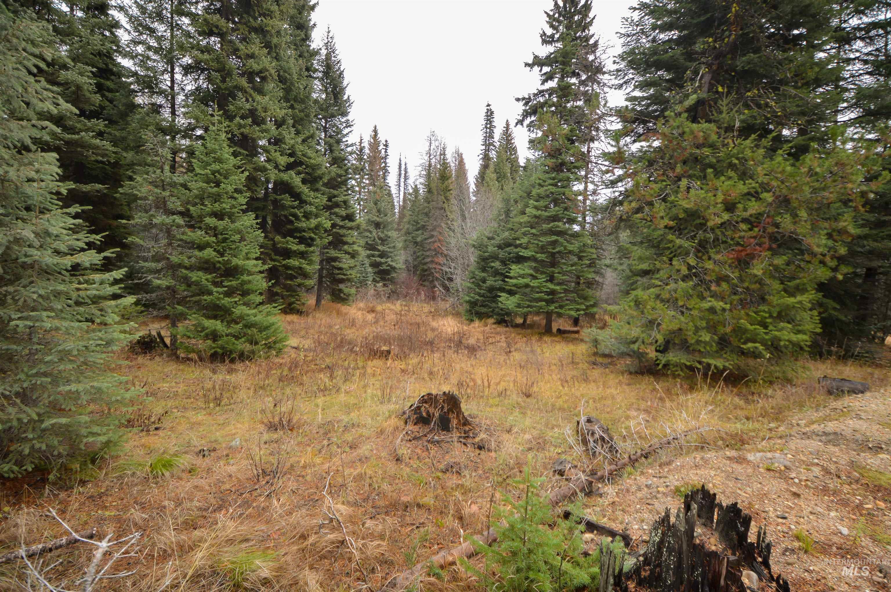 Tbd No Business Road Property Photo 13