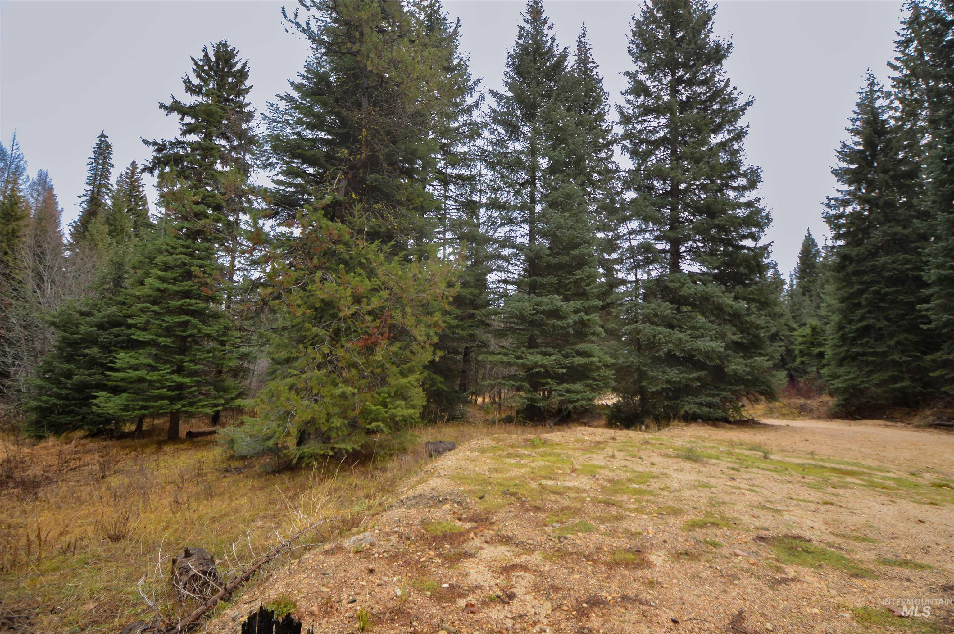 Tbd No Business Road Property Photo 14