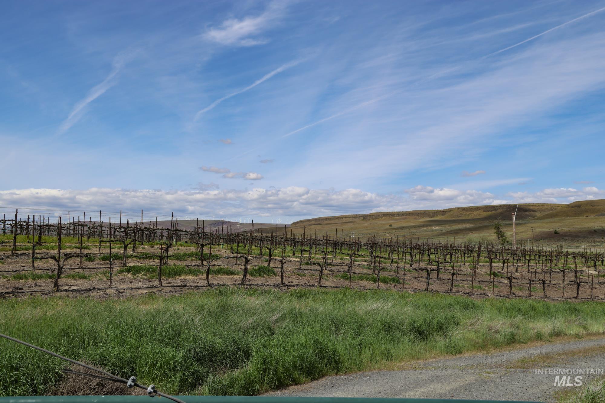 73809 Rattlesnake Road Property Photo 2