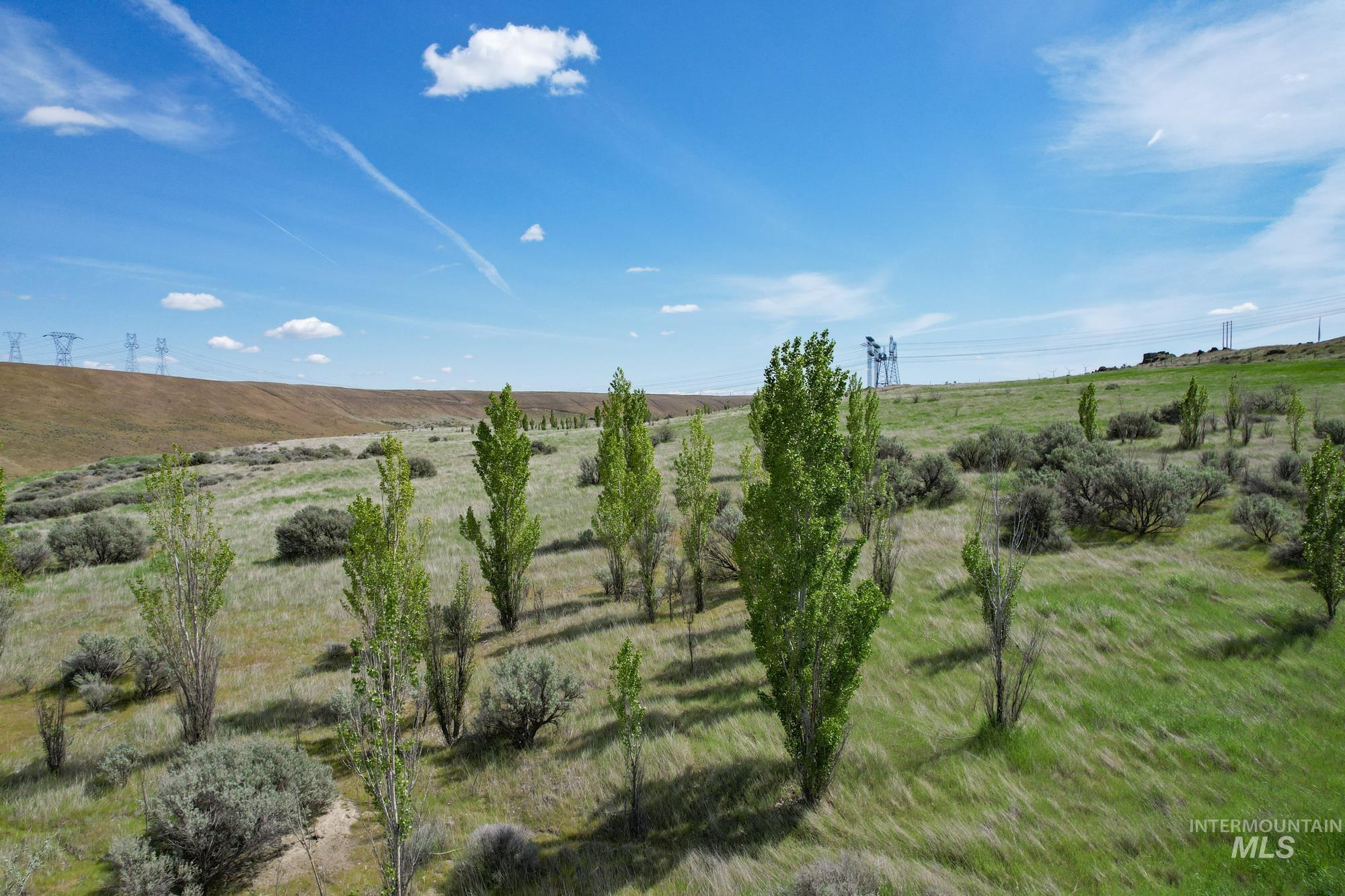 73809 Rattlesnake Road Property Photo 13