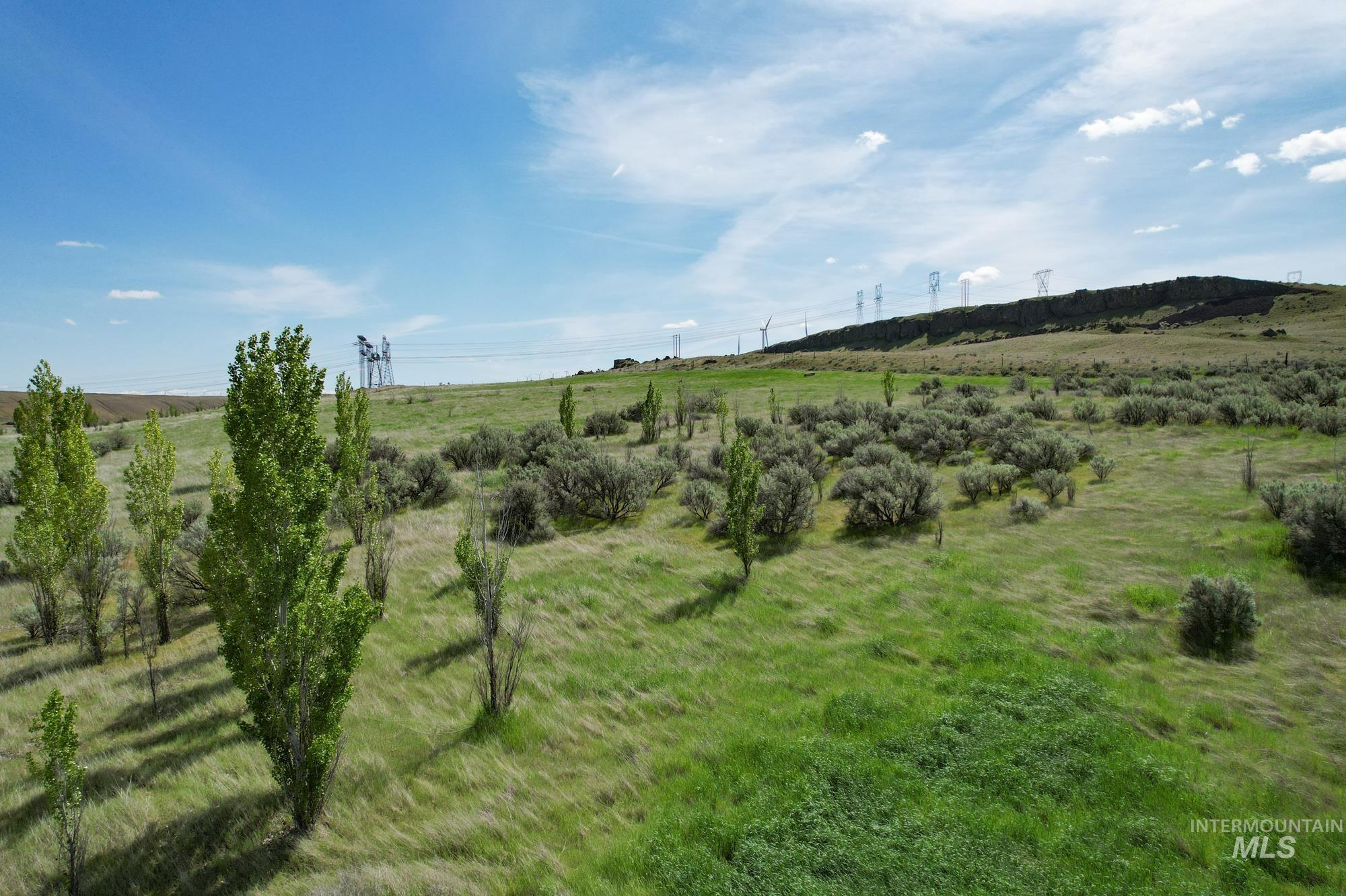 73809 Rattlesnake Road Property Photo 14