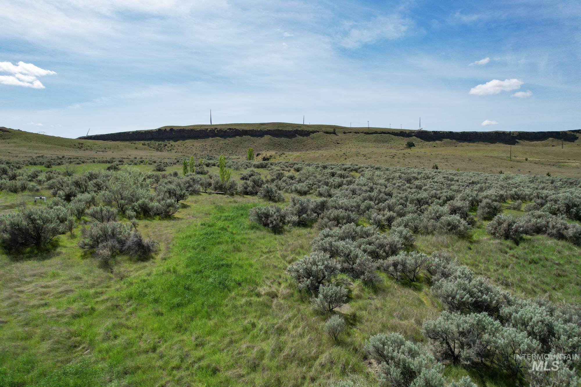 73809 Rattlesnake Road Property Photo 15