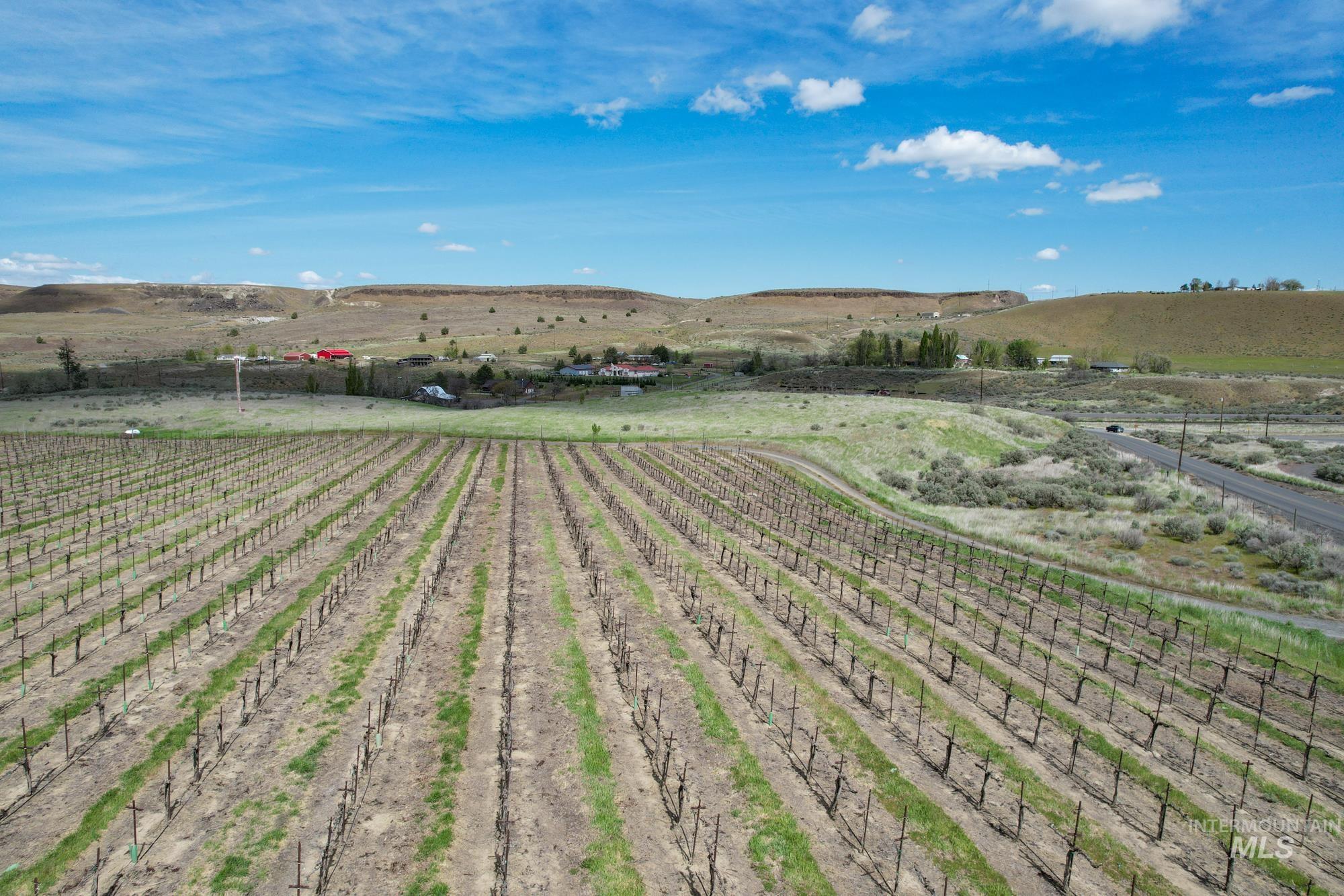 73809 Rattlesnake Road Property Photo 21