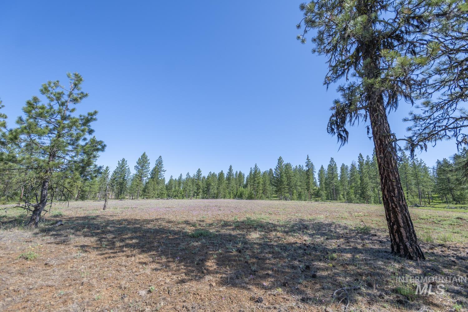 Tbd1 Us-95 Property Photo 3