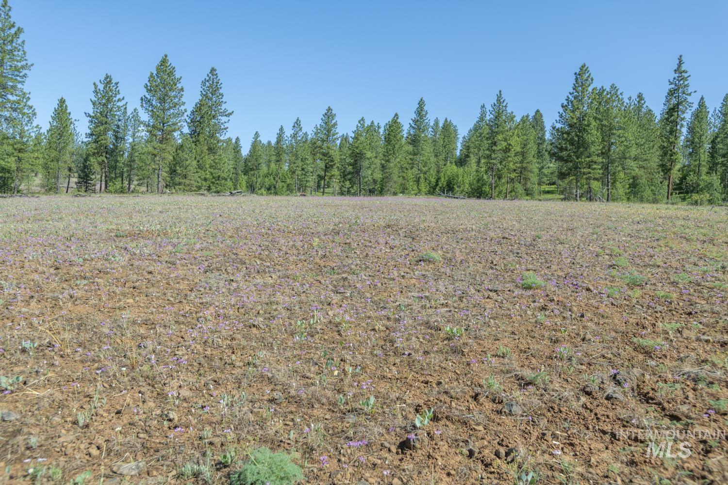 Tbd1 Us-95 Property Photo 4